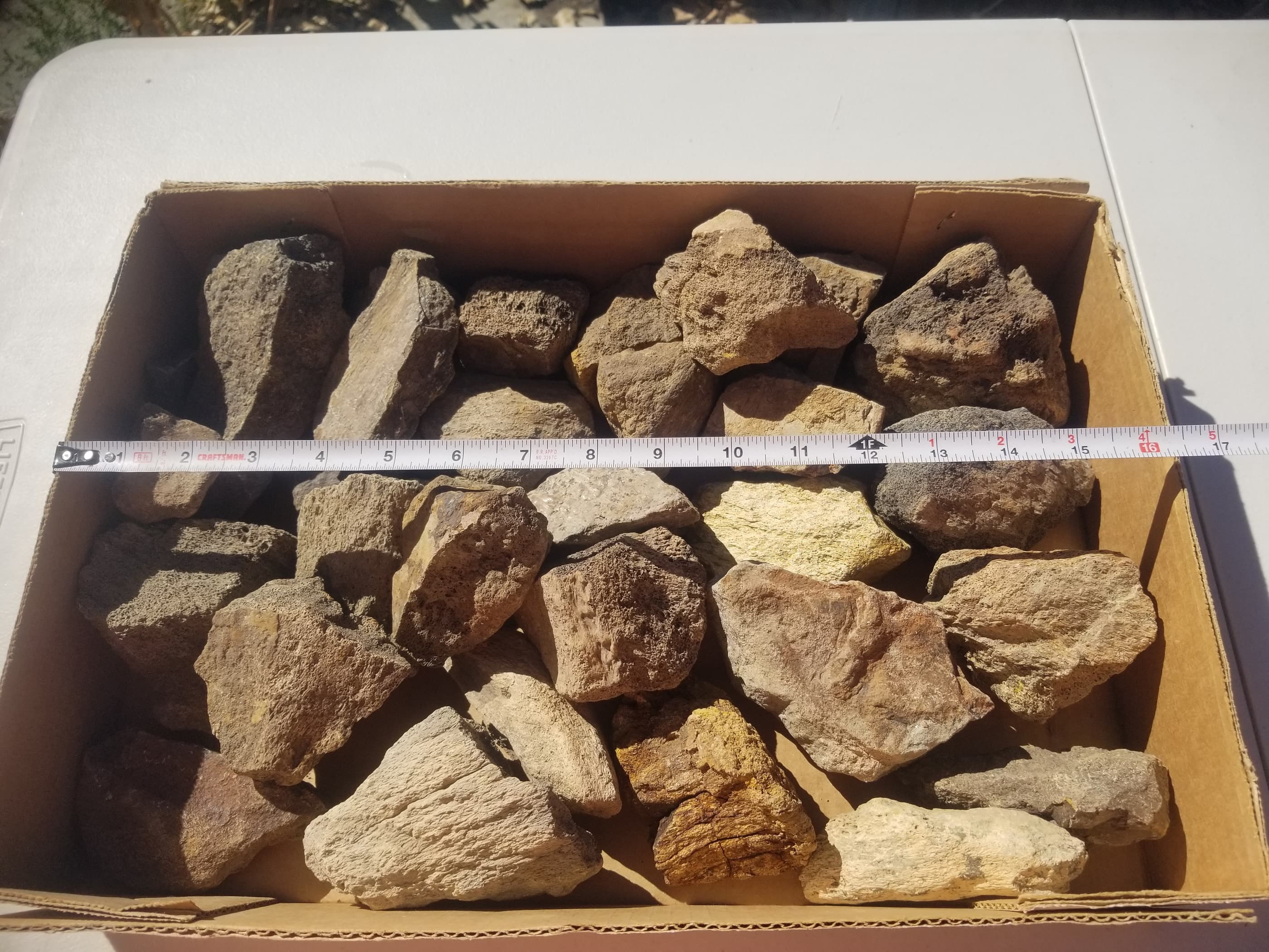 28 Piece 12.5Lb Triceratops Larger Fossil Specimen Wholesale Flat Lot Cretaceous Hell Creek, MT
