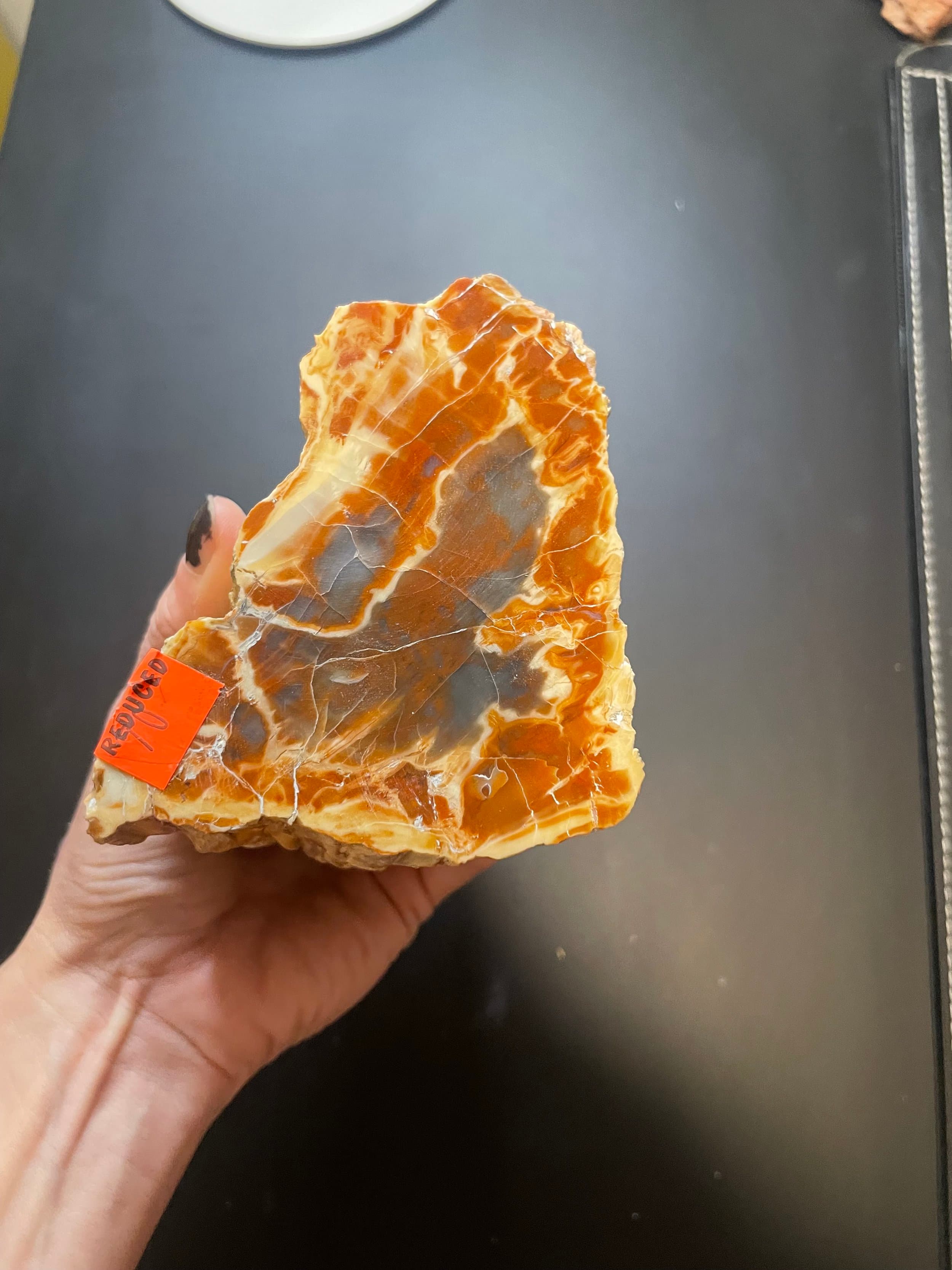 Nice Polished Red Henry Mountains Petrified Wood Specimen - Morrison, Southern Utah