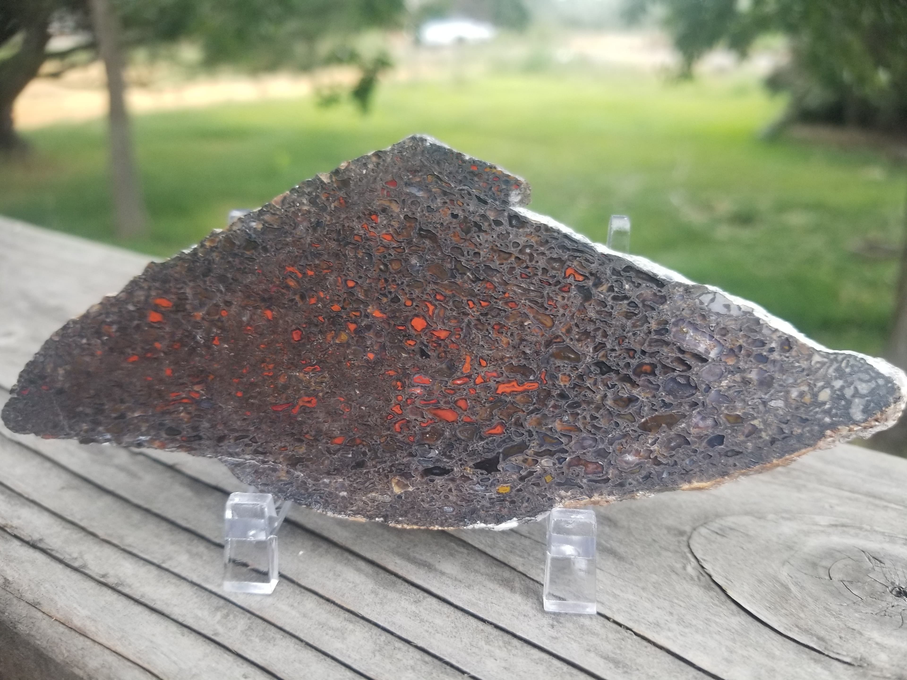 Great Polished Red Cell Agatized Jurassic Dinosaur Gem Bone Slab Specimem Dark Webbing 91g
