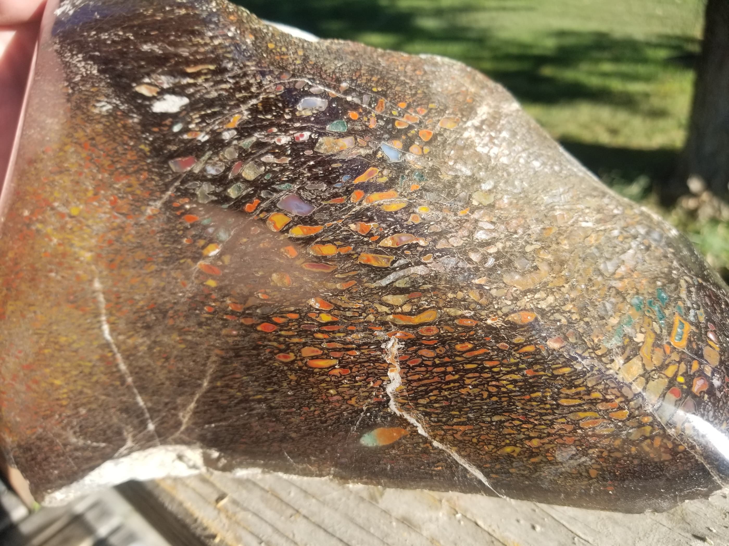 Amazing Rare Freeform Polished Large Cell Fortification Rainbow Agatized Jurassic Dinosaur Gem Bone Specimen 11.7Lb