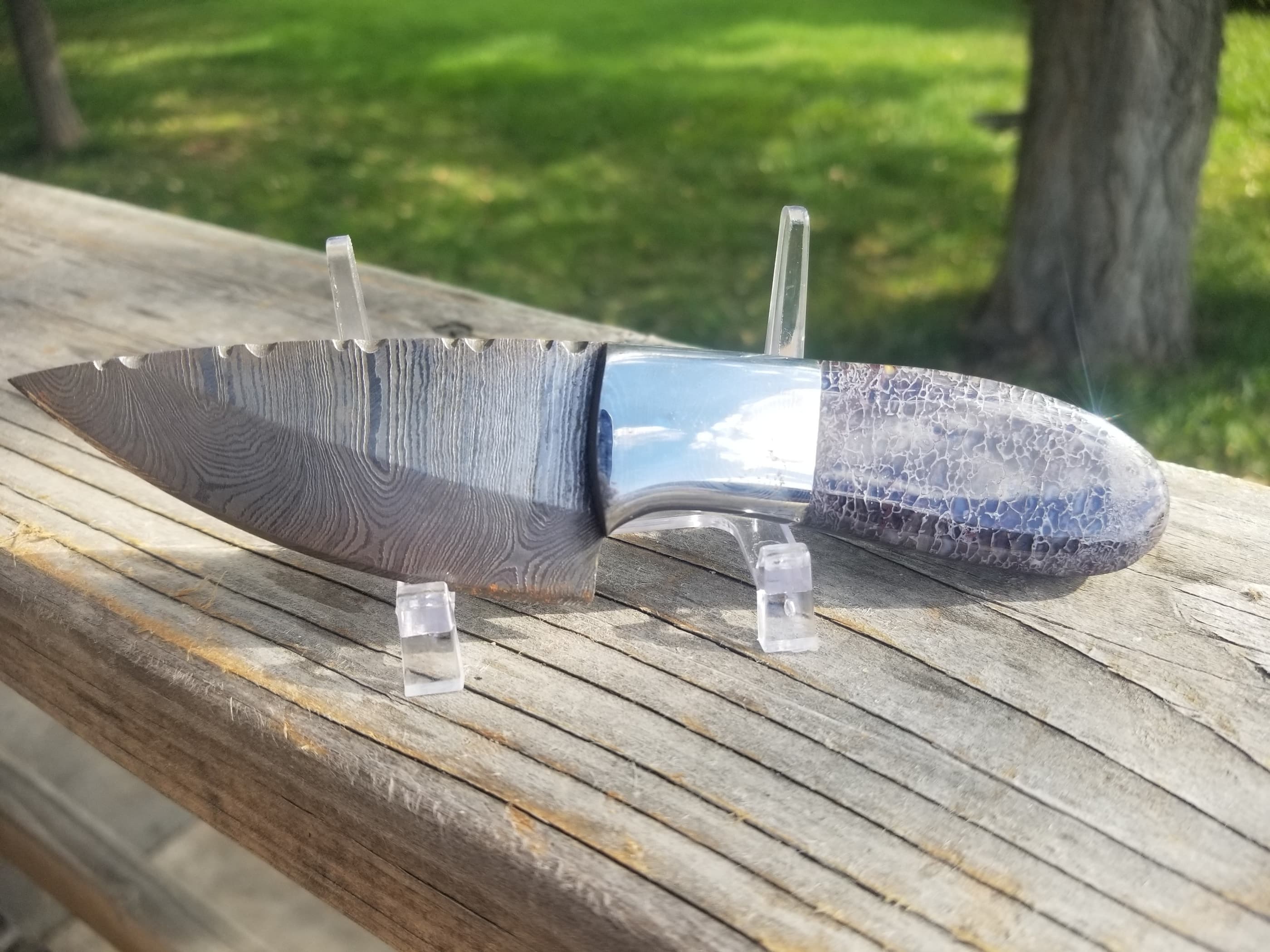 Spiderweb Dinosaur Gem Bone Handle Fixed Damascus Hunting Knife - 3" Blade x 3.5" Handle