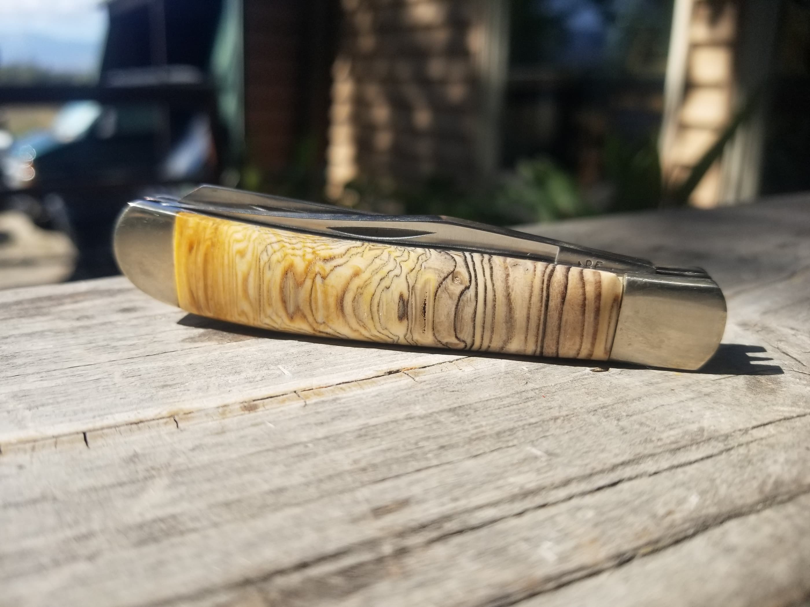 Hell's Canyon Petrified Wood Handle Folding Utility Pocket Knife - 3.5β Handle