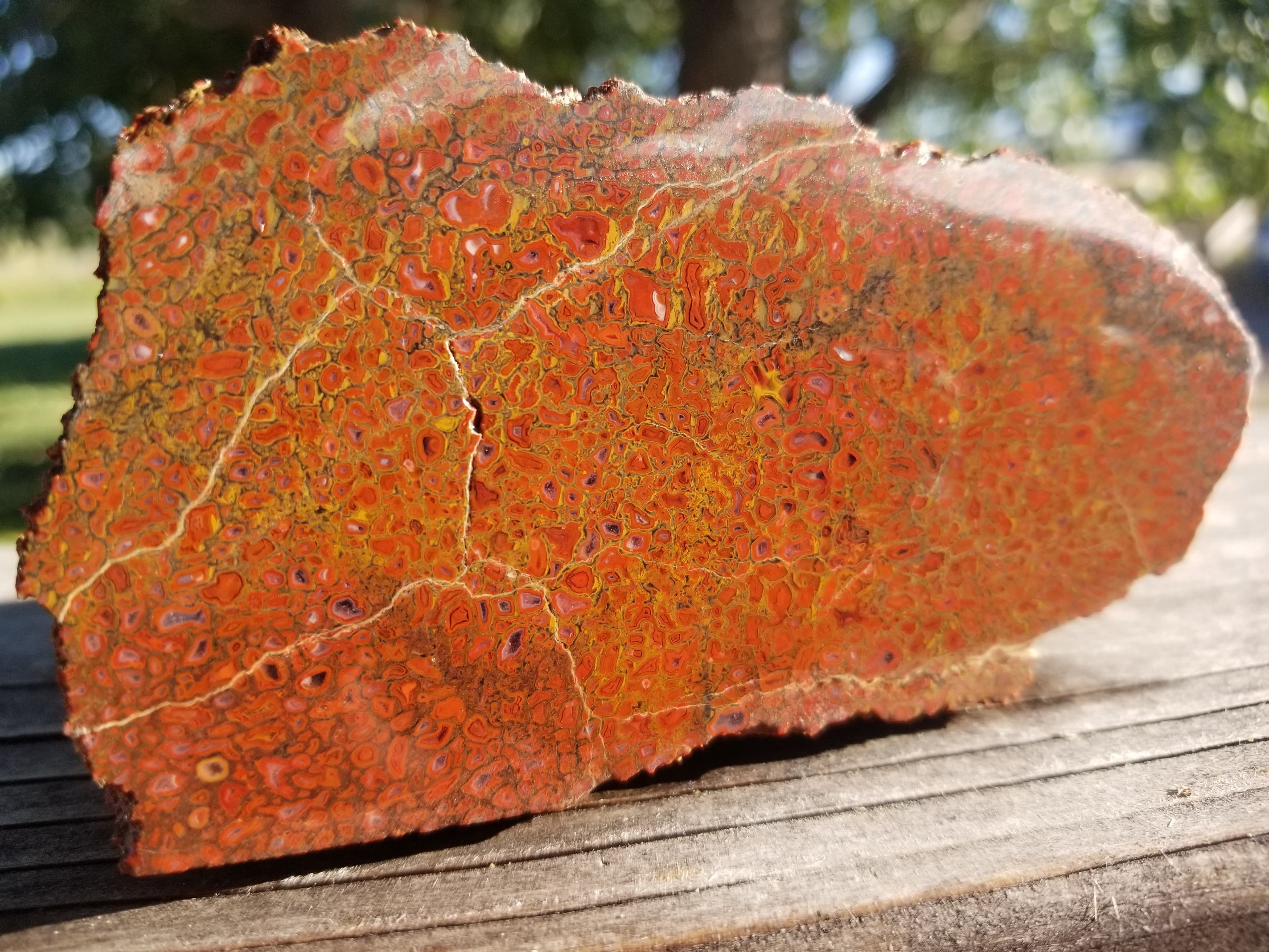 Beautiful Agatized Dinosaur Gem Bone Deep Red Natural Specimen Rough/Unpolished 773g