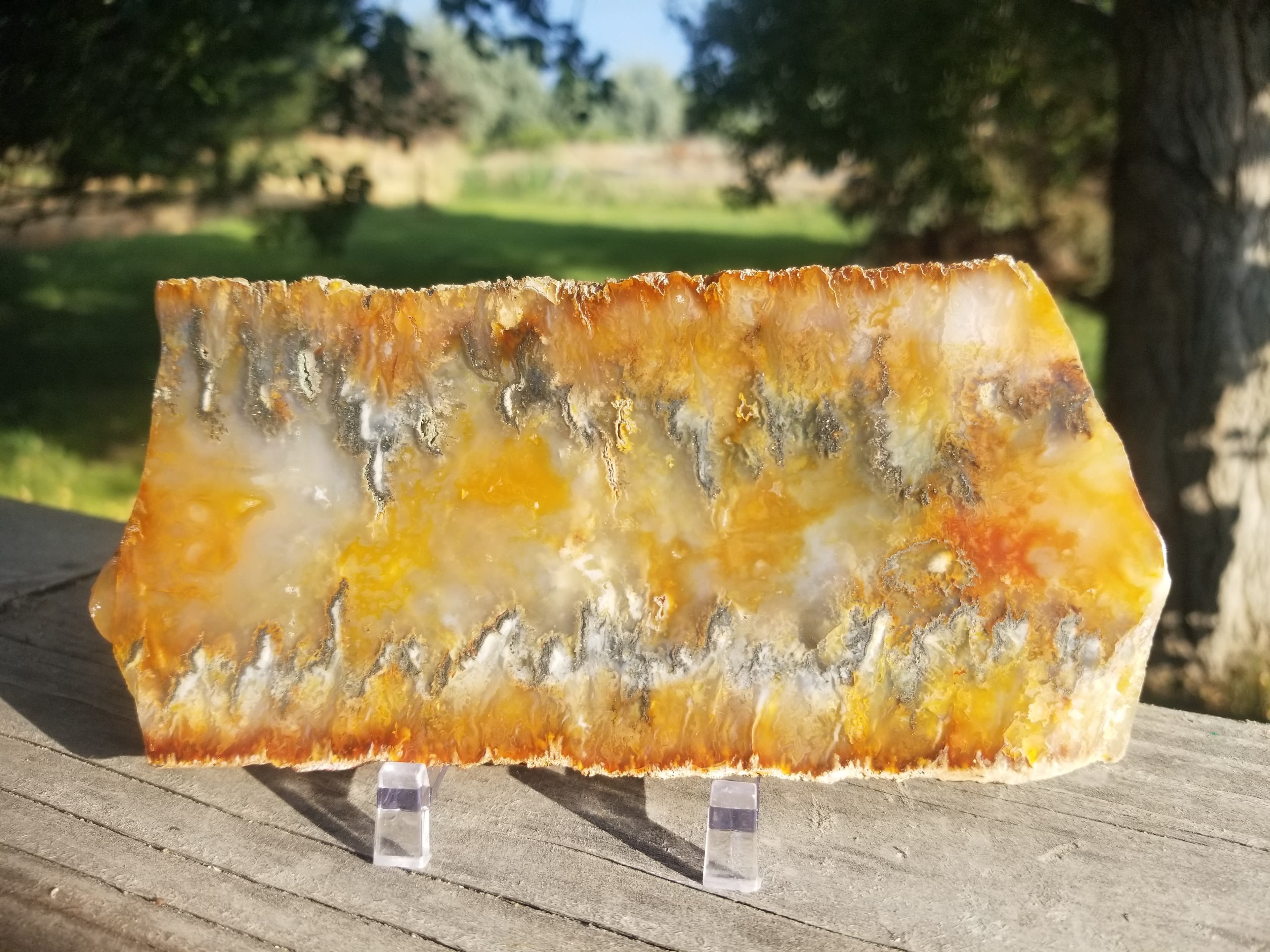 Beautiful Polished Graveyard Point Plume Moss Agate w/Pyrite Specimen Slab .5Lb 234g 6x3"