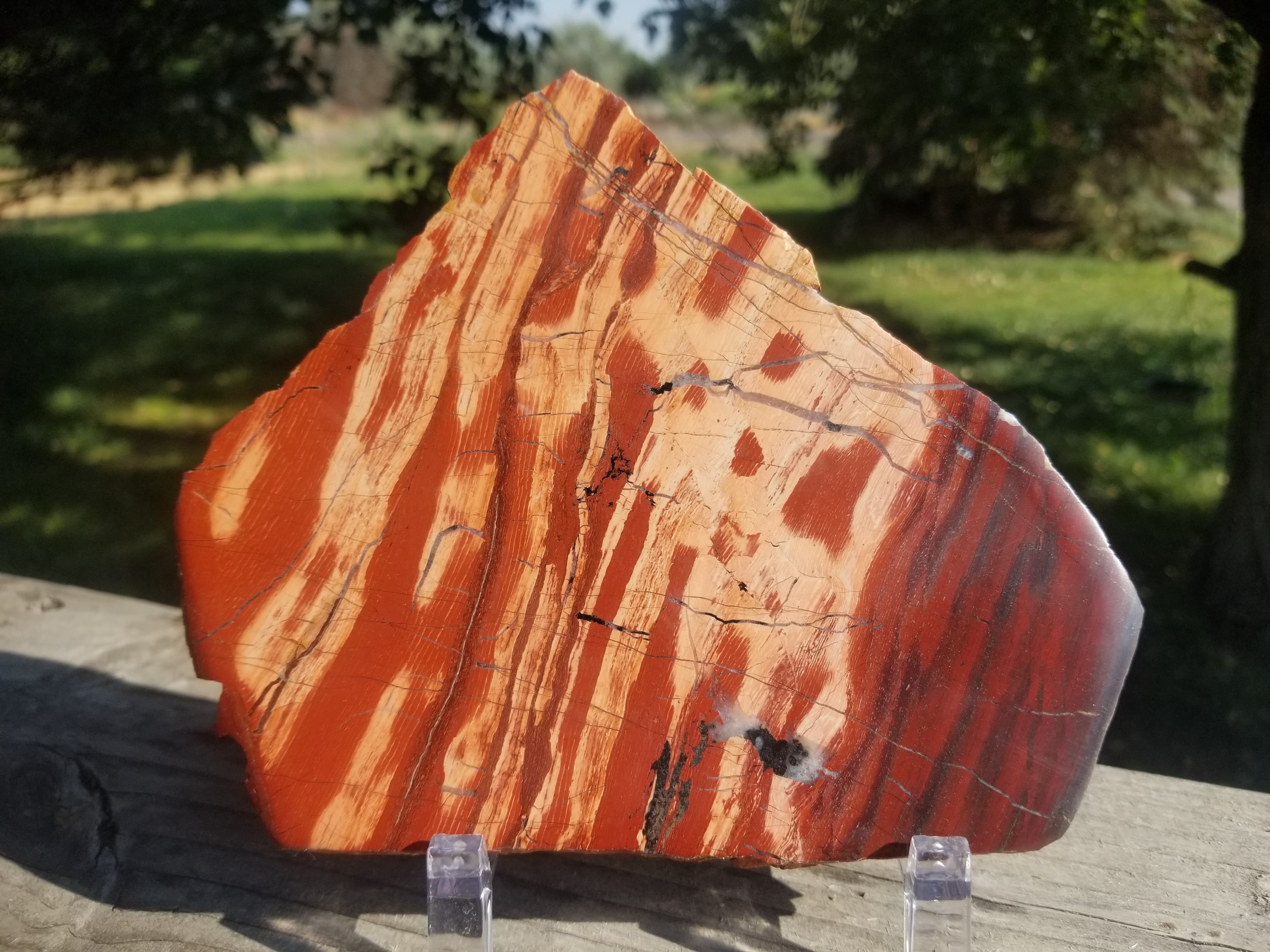 Beautiful Large Snakeskin Jasper Polished Slab Specimen 330g Australia