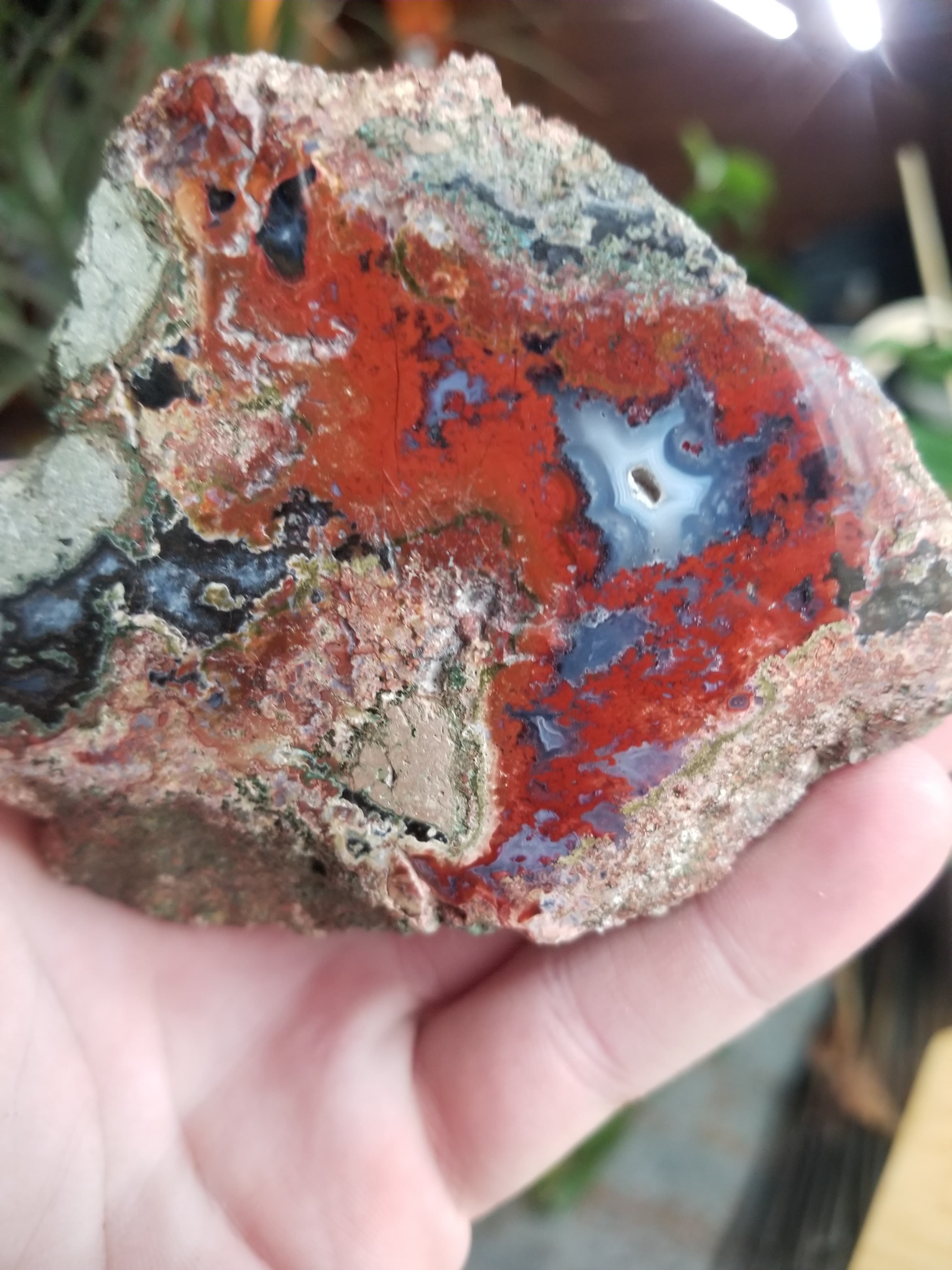 Beautiful Polished 3+" Indonesian Moss Agate Freeform With Druzy Pocket 1/2Lb