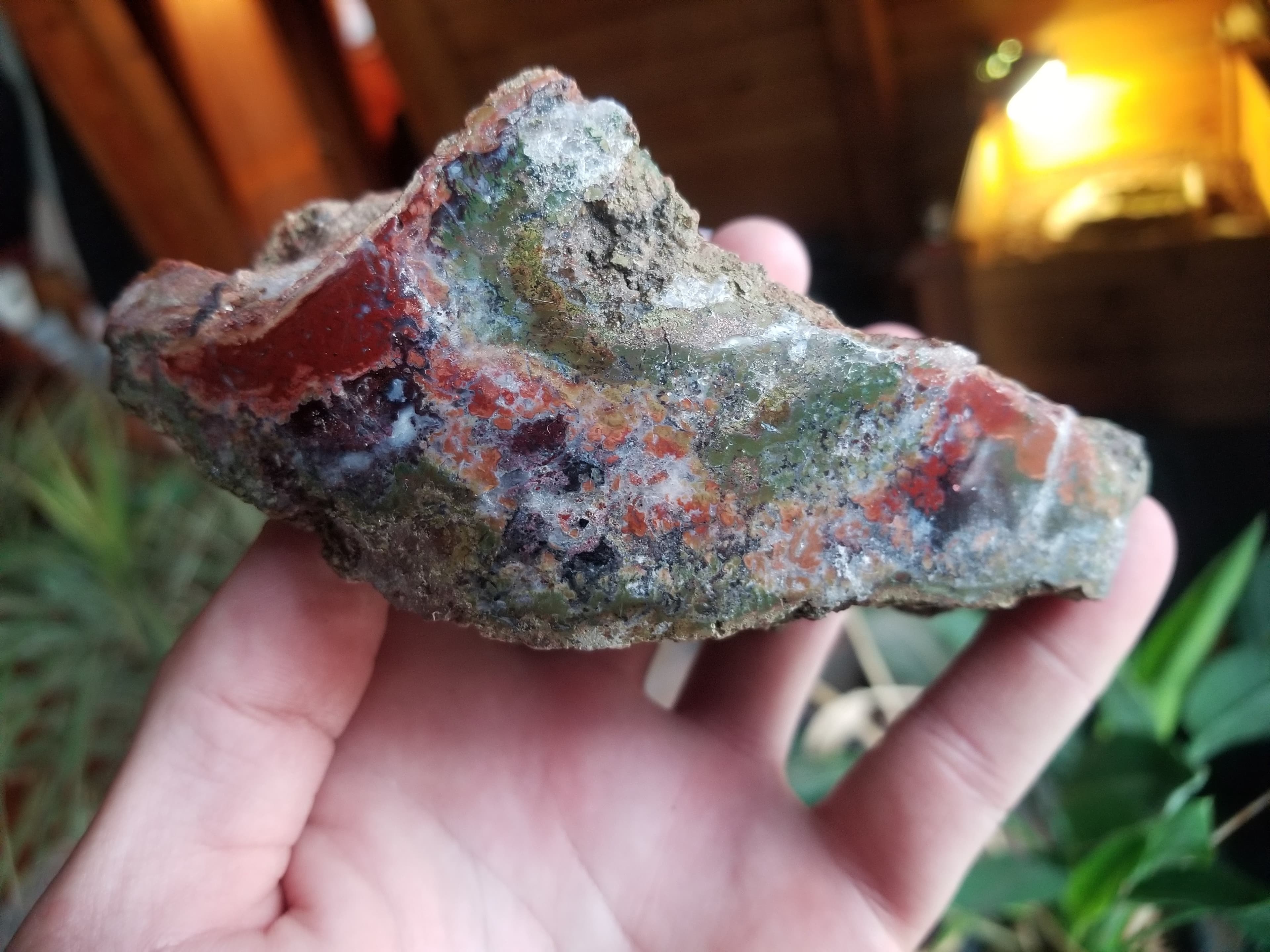 Beautiful Polished 5" Multicolor Indonesian Moss Agate Freeform 14oz Specimen