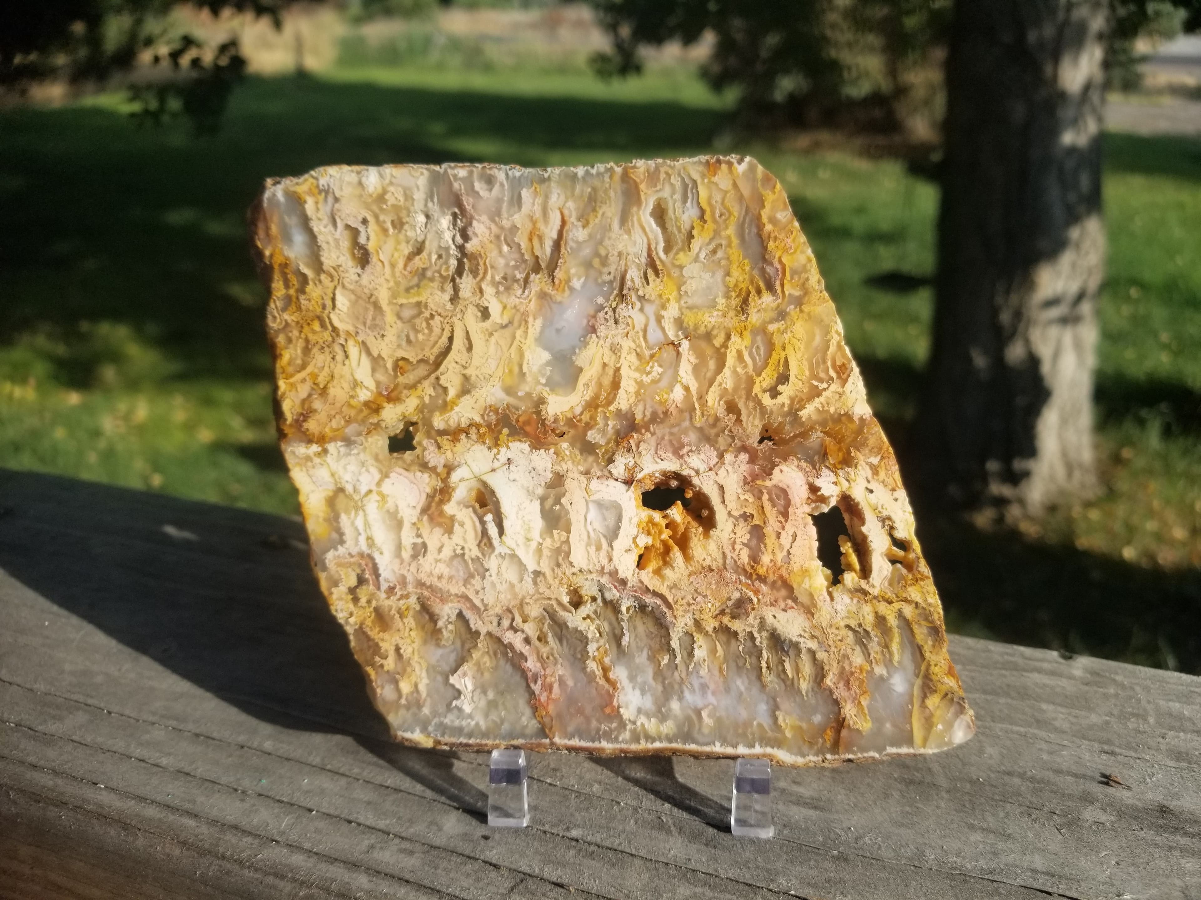 Beautiful Polished Graveyard Point Plume Moss Agate Specimen Slab 191g 5x4.75"