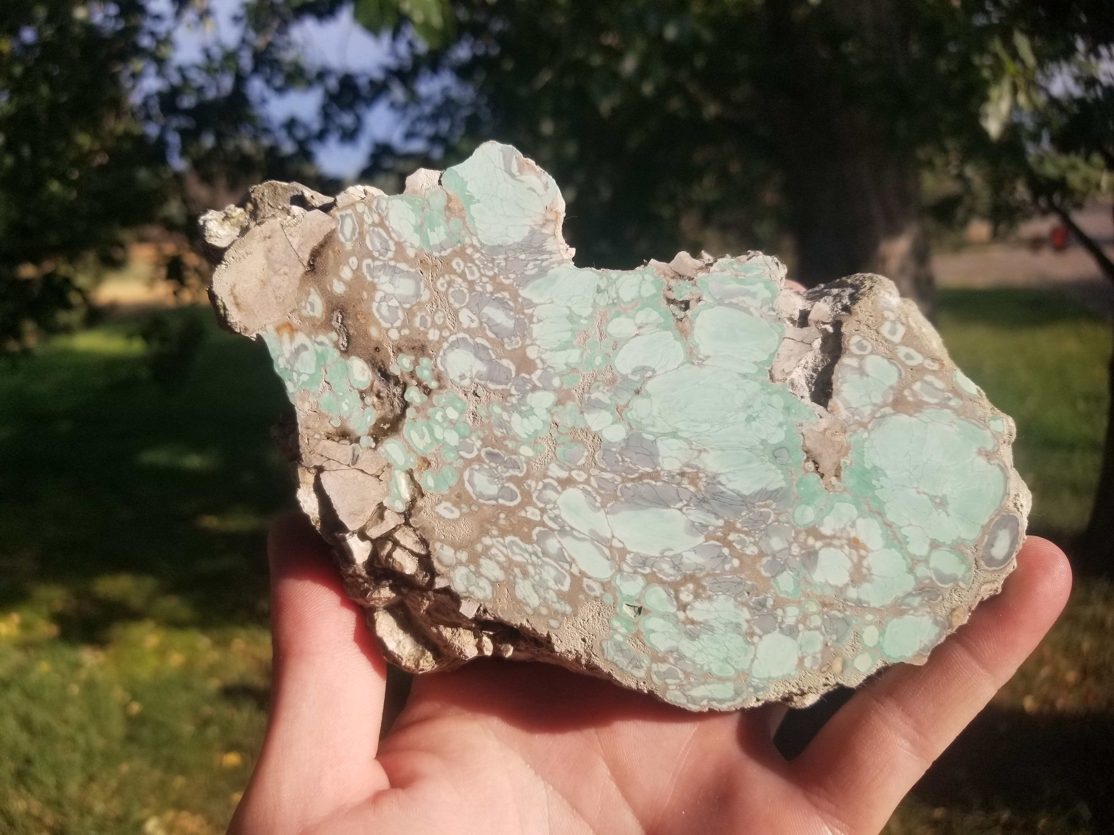 Beautiful Polished Spiderweb Lucin Variscite Utah Thick Slab Specimen 5x4" 1Lb