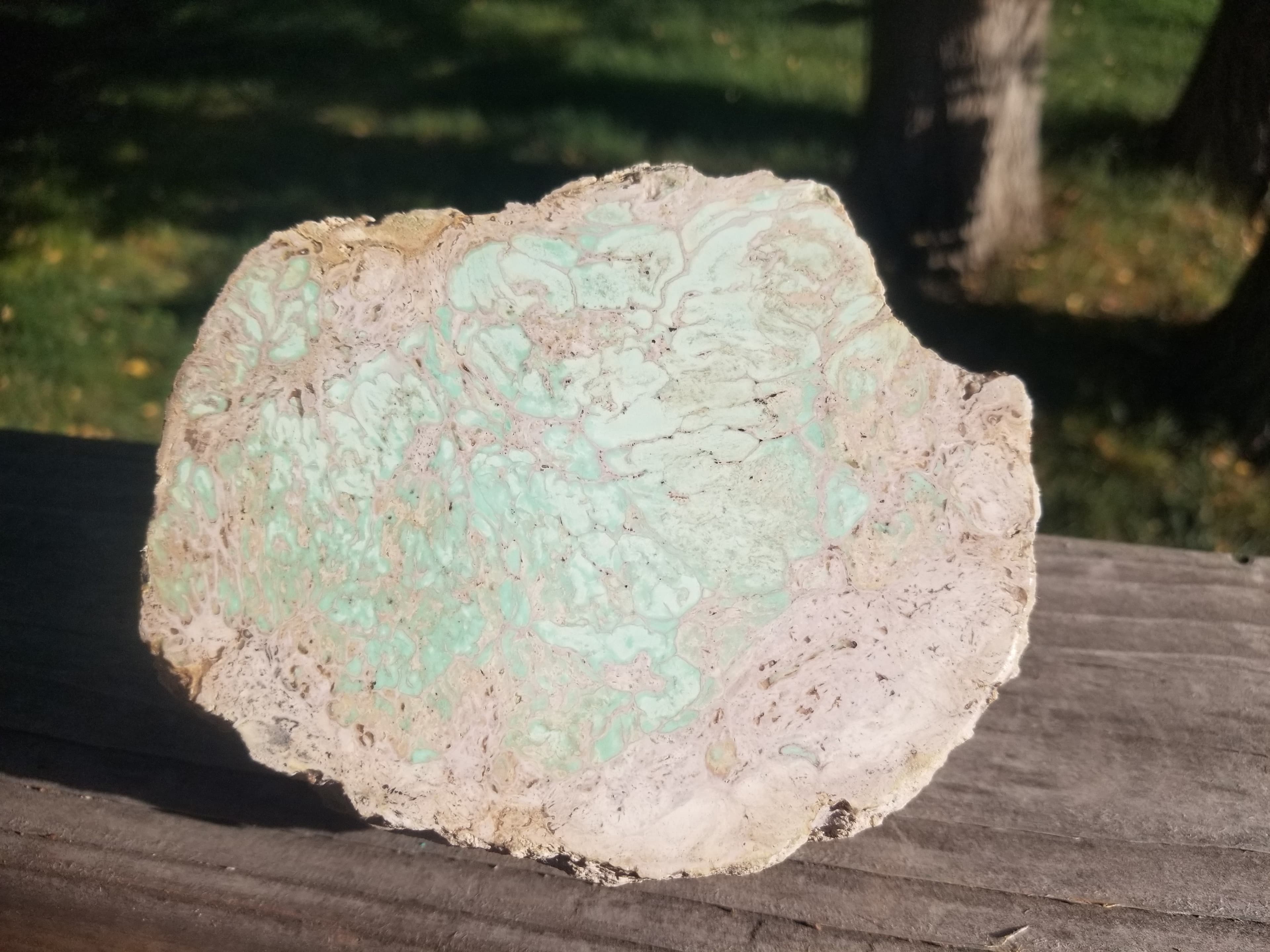 Beautiful Polished Spiderweb Lucin Variscite Utah Half Nodule Specimen 5.5x4.25" 3.4Lb