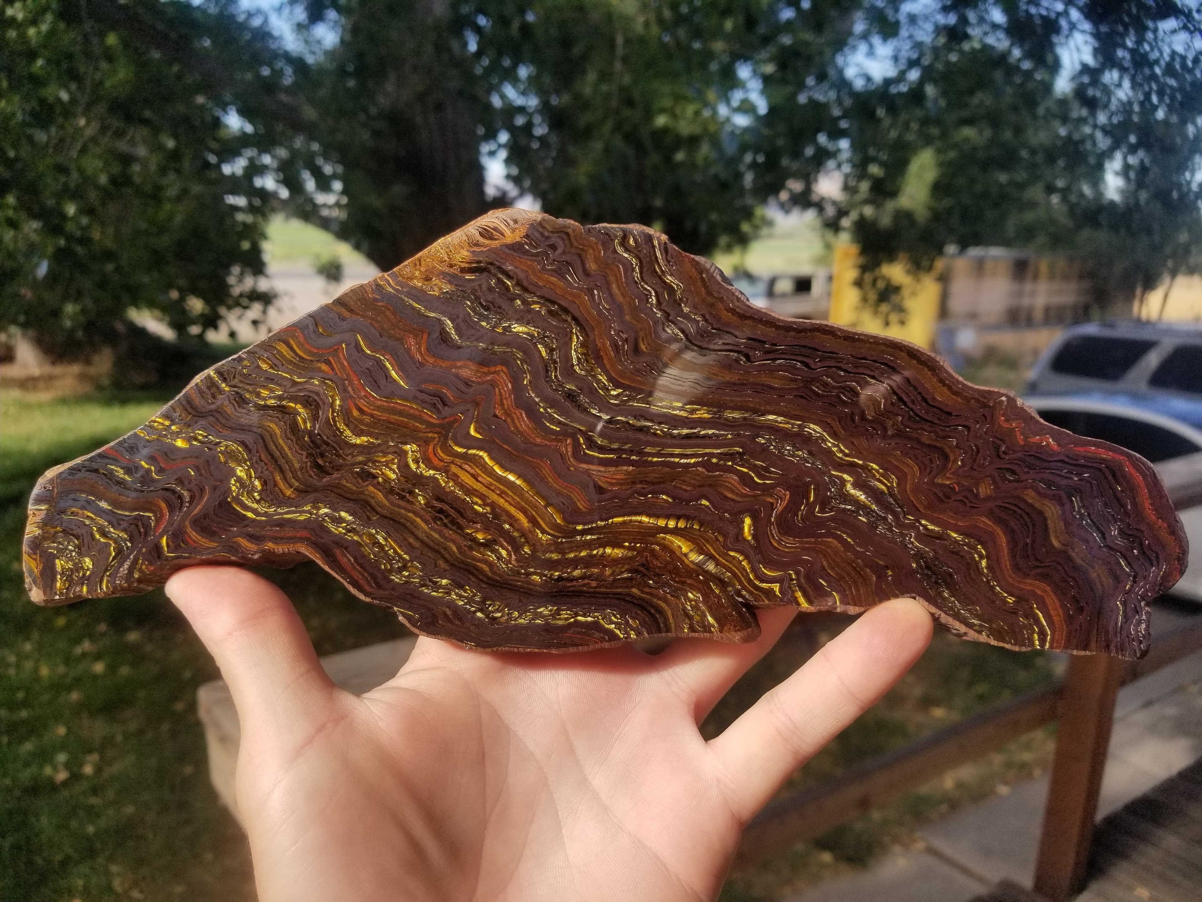 Beautiful Large Thick Polished Tiger Iron Slab Specimen 10.75x4" 1.6Lb - Australia