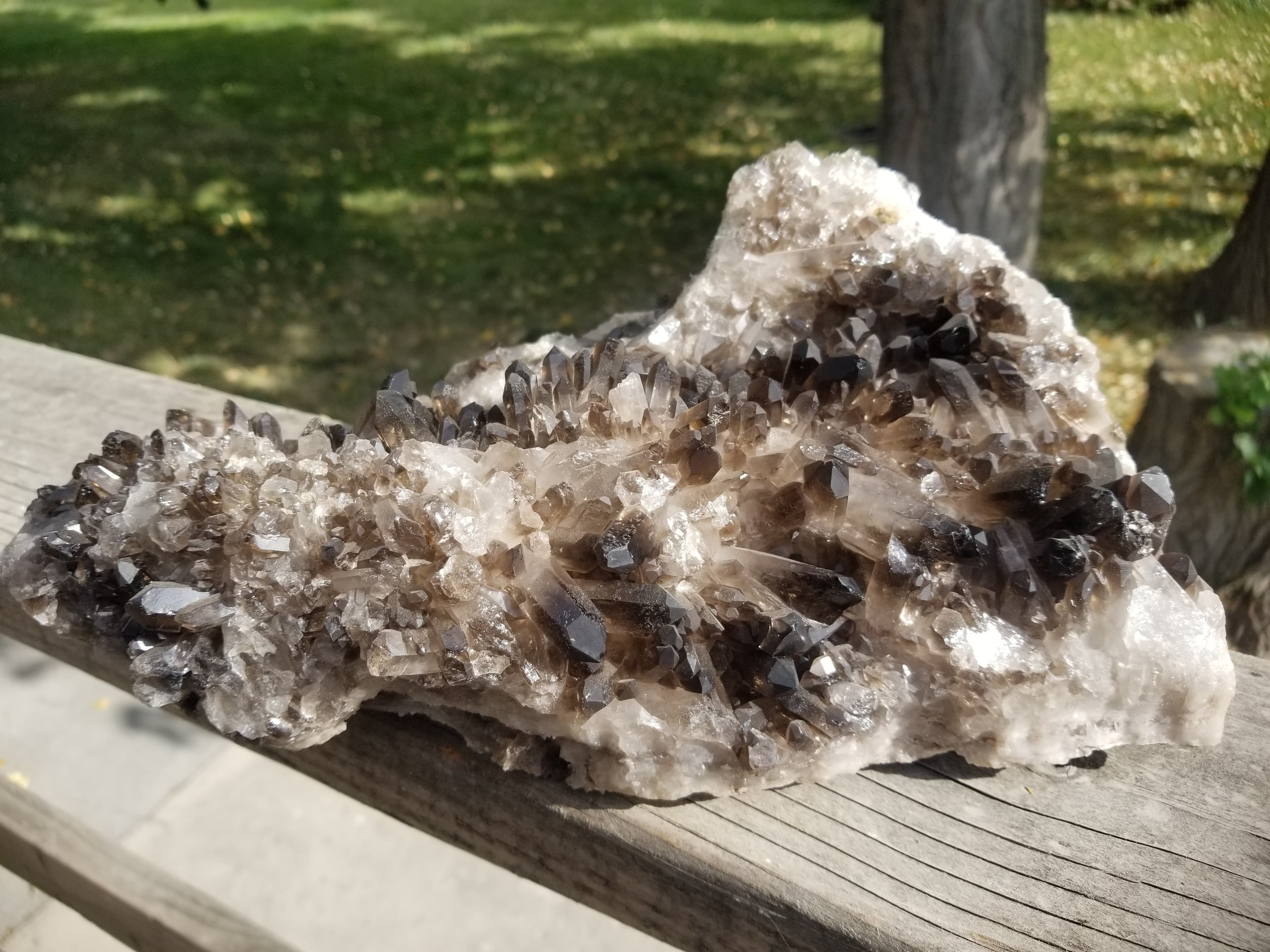 Beautiful XL 11" Natural Smokey Quartz Crystal Cluster Formation Statement Piece 10+Lb Display Showcase