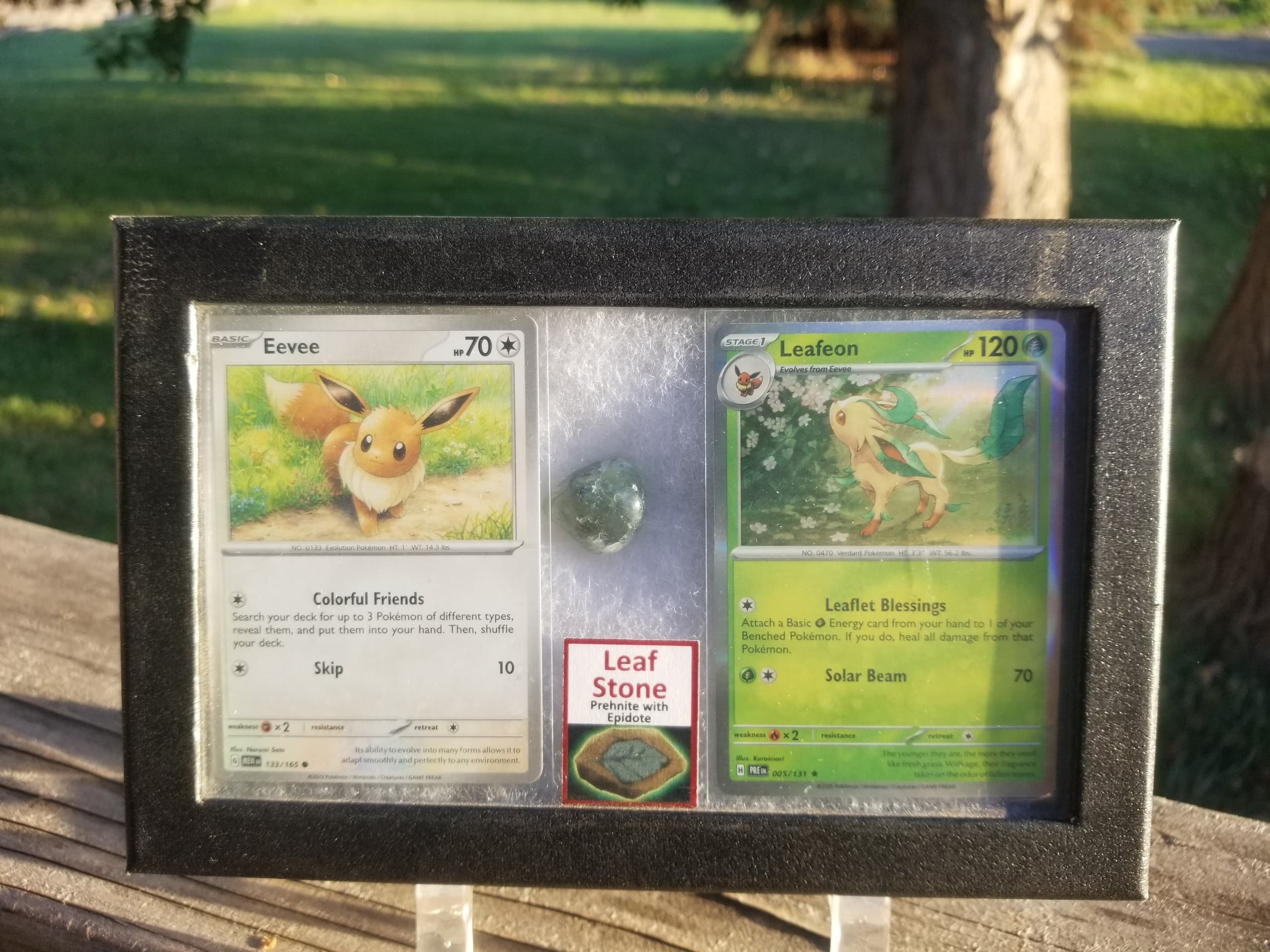 Eevee & Leafeon Pokémon Card Display w/Stone Correlated to Cards