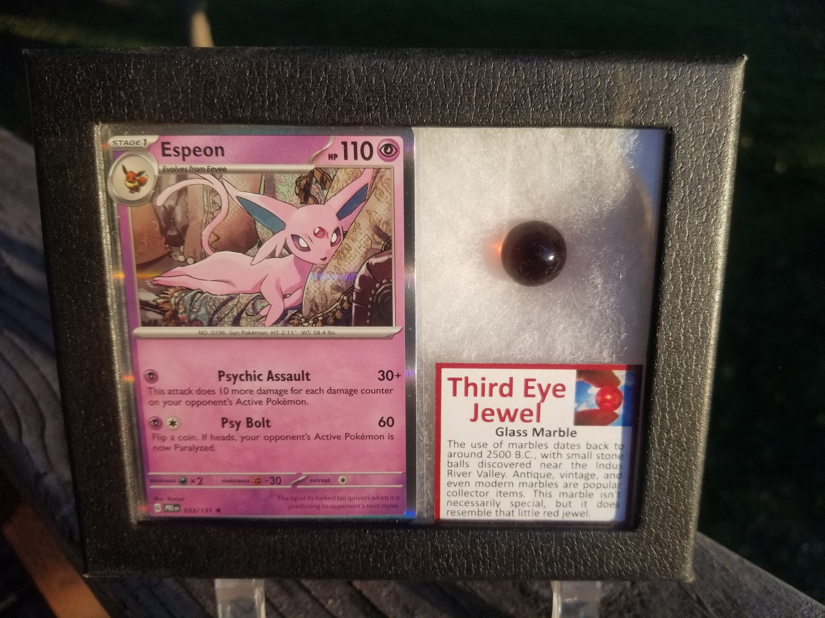 Pokemon Card Display w/Fossil Correlated to Card