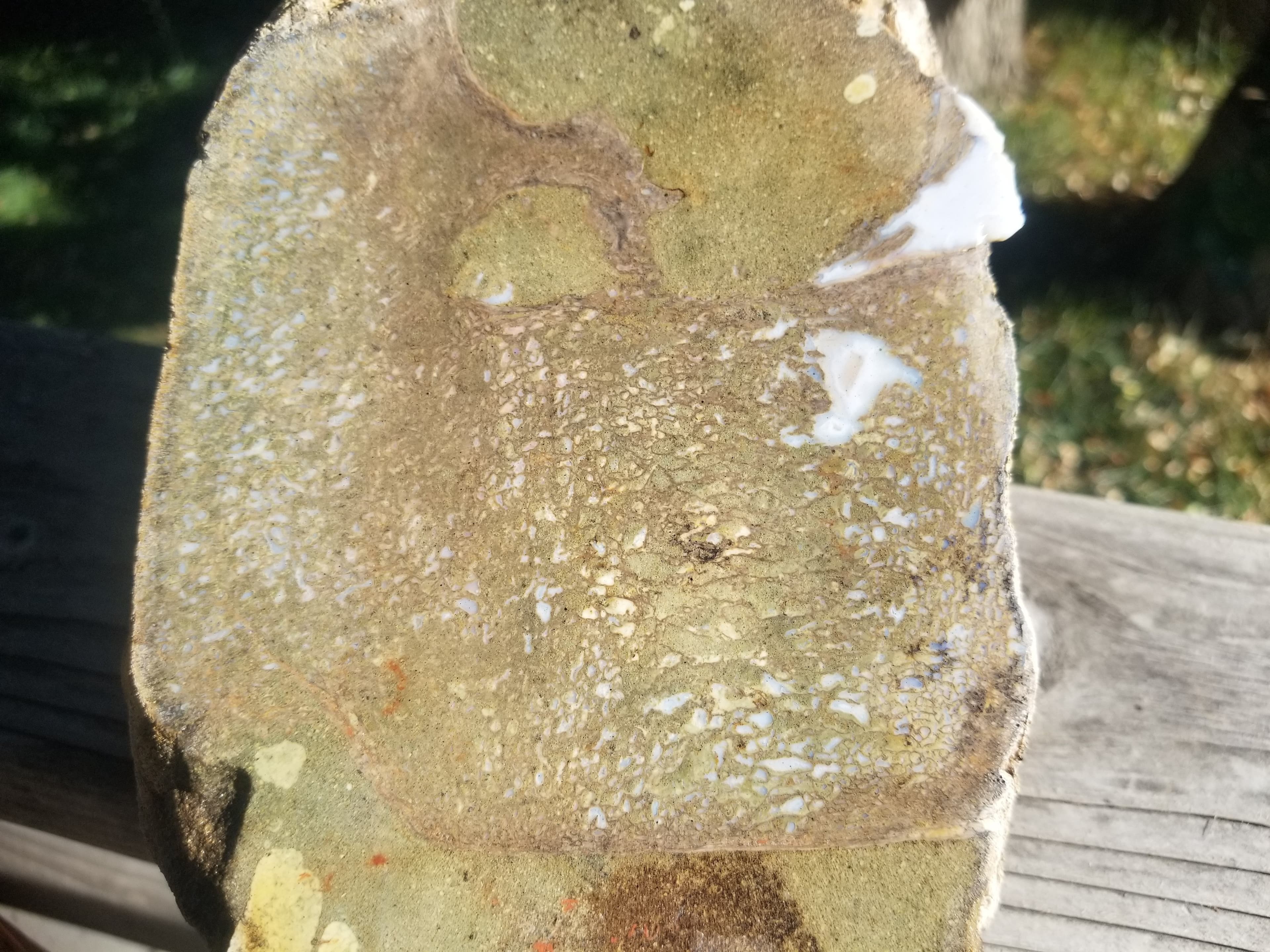 Great Agatized Dinosaur Gem Bone Green Multicolor Natural Specimen Large Cell Rough/Unpolished 10Lb