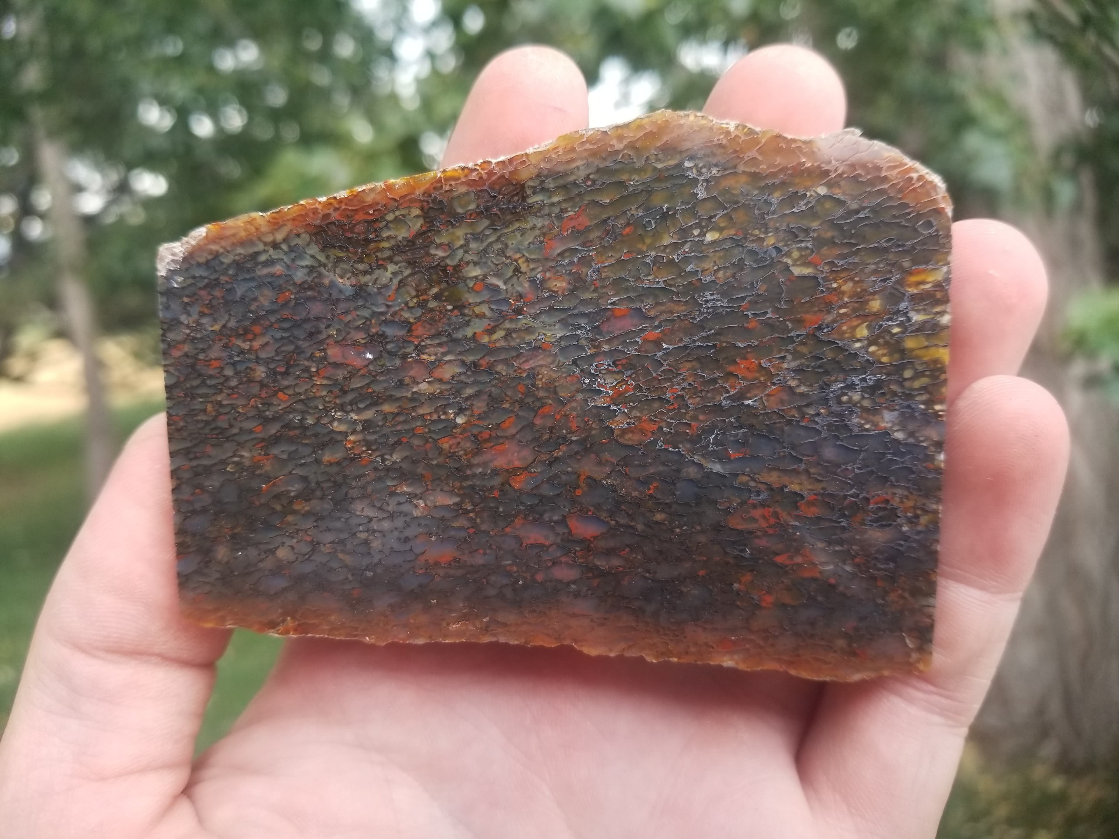 Great Polished Multicolor Cell Glassy Agatized Jurassic Dinosaur Gem Bone Thick Slab Specimem 161g