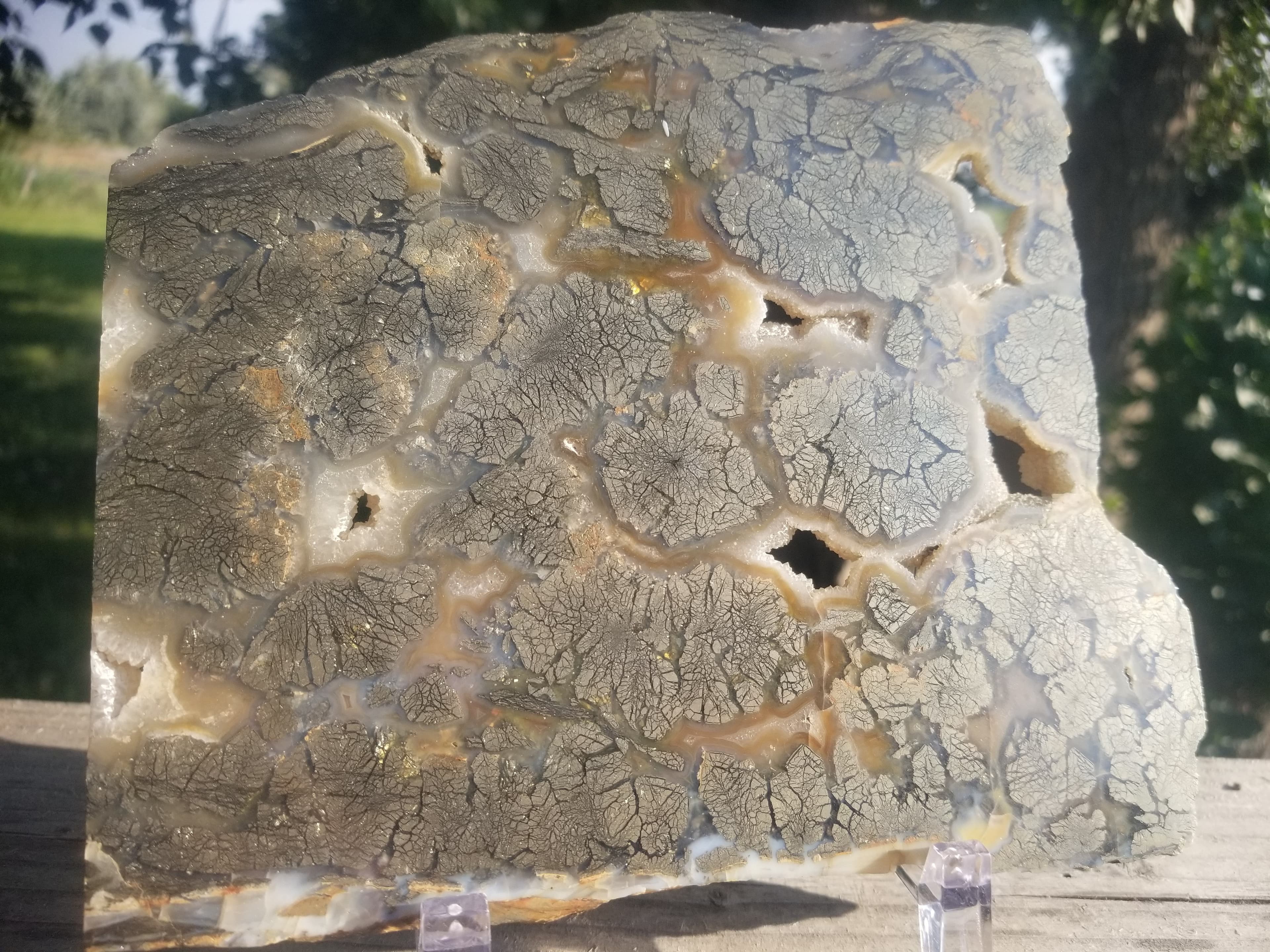 Incredible Large Polished Marcasite Agate Slab 1Lb 7.5"x6" - Iron Sulfide w/ Orthorhombic Crystal Structures & Druzy Pockets