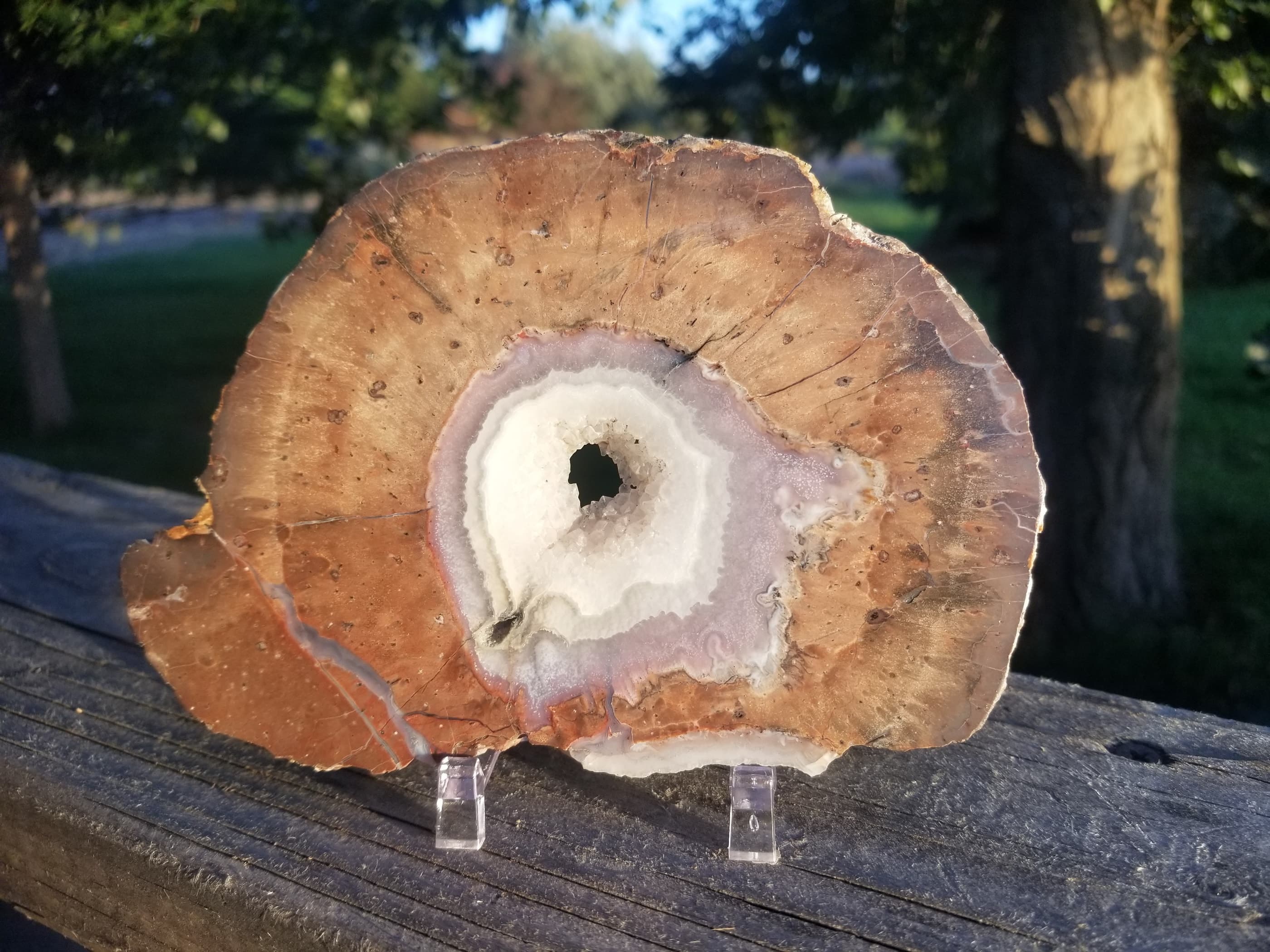 Large Polished Dugway Geode Slab Specimen Fortification Druzy 6x4"