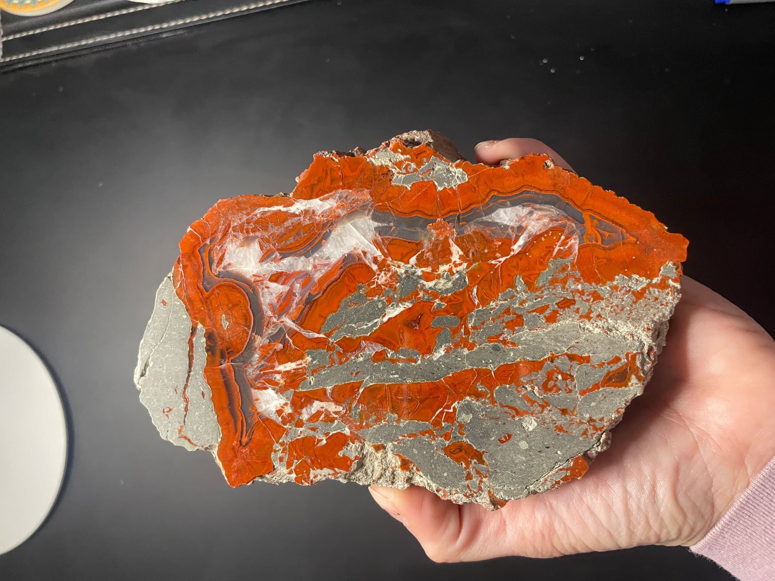 Highly Coveted Polished Yellow Cat Red Wood - Petrified Agatized Wood Specimen 1.6Lb, UT