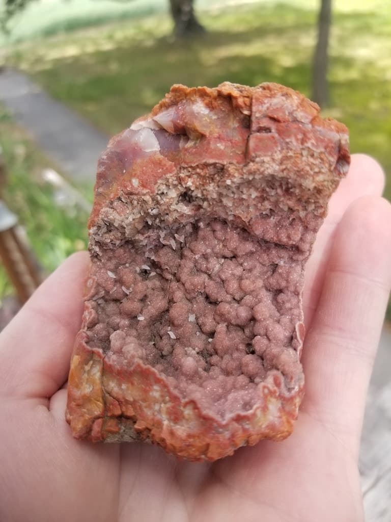 Nice Rare Sinbad Agate Geode Section w/Druzy Sugar Botryoidal Yellow Triassic UT