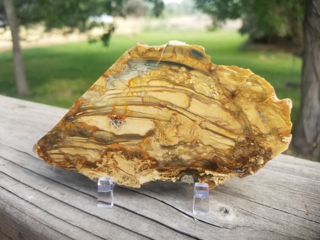 Nice Scenic Blue Mountain Jasper Polished End Cut Specimen Multicolor