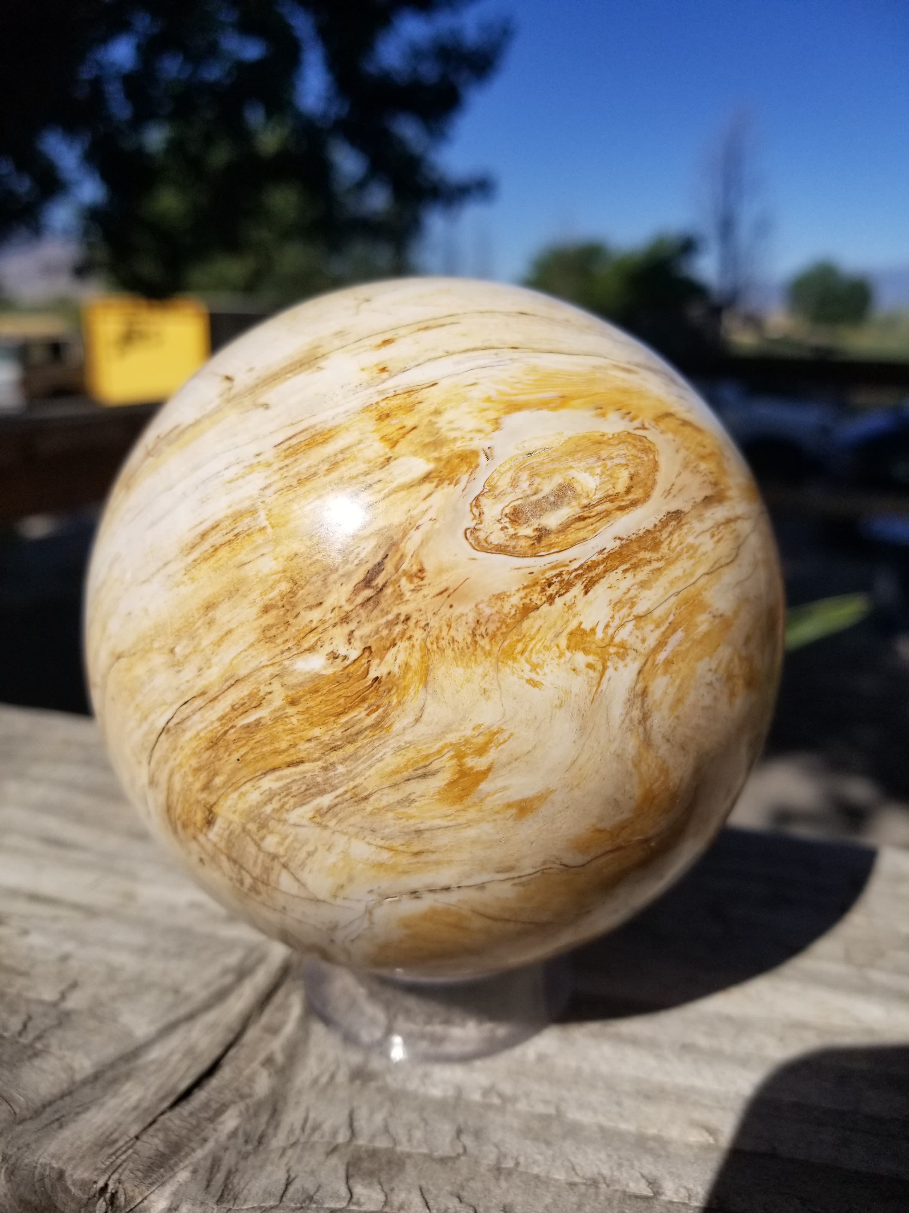 Real Large Polished Petrified Wood Sphere 4" Indonesia Nice Display Metaphysical 2Lb