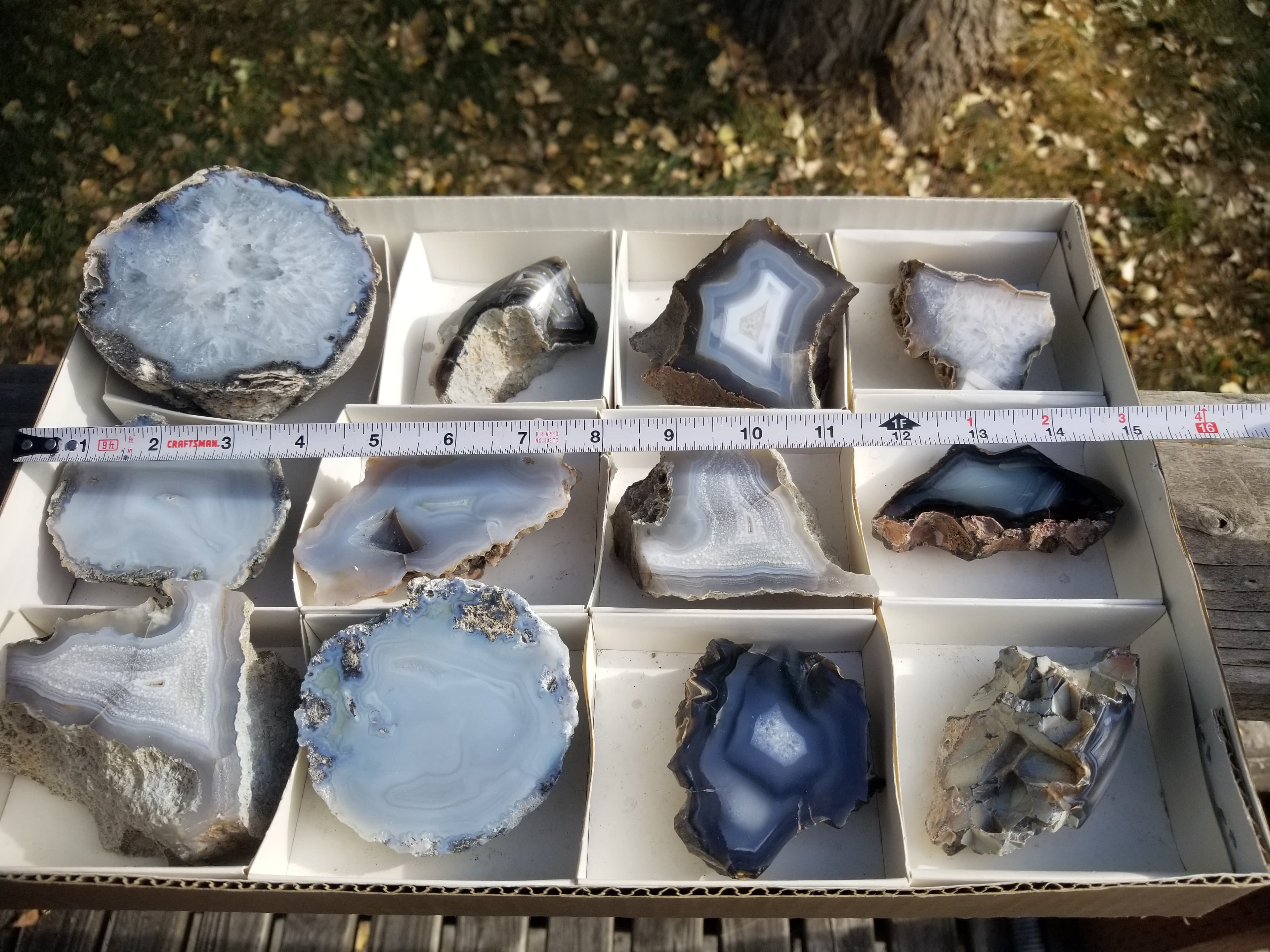 *Wholesale Flat - Beautiful Large Misc Polished Banded Agate Flat 12 Specimens 10+Lbs Translucent