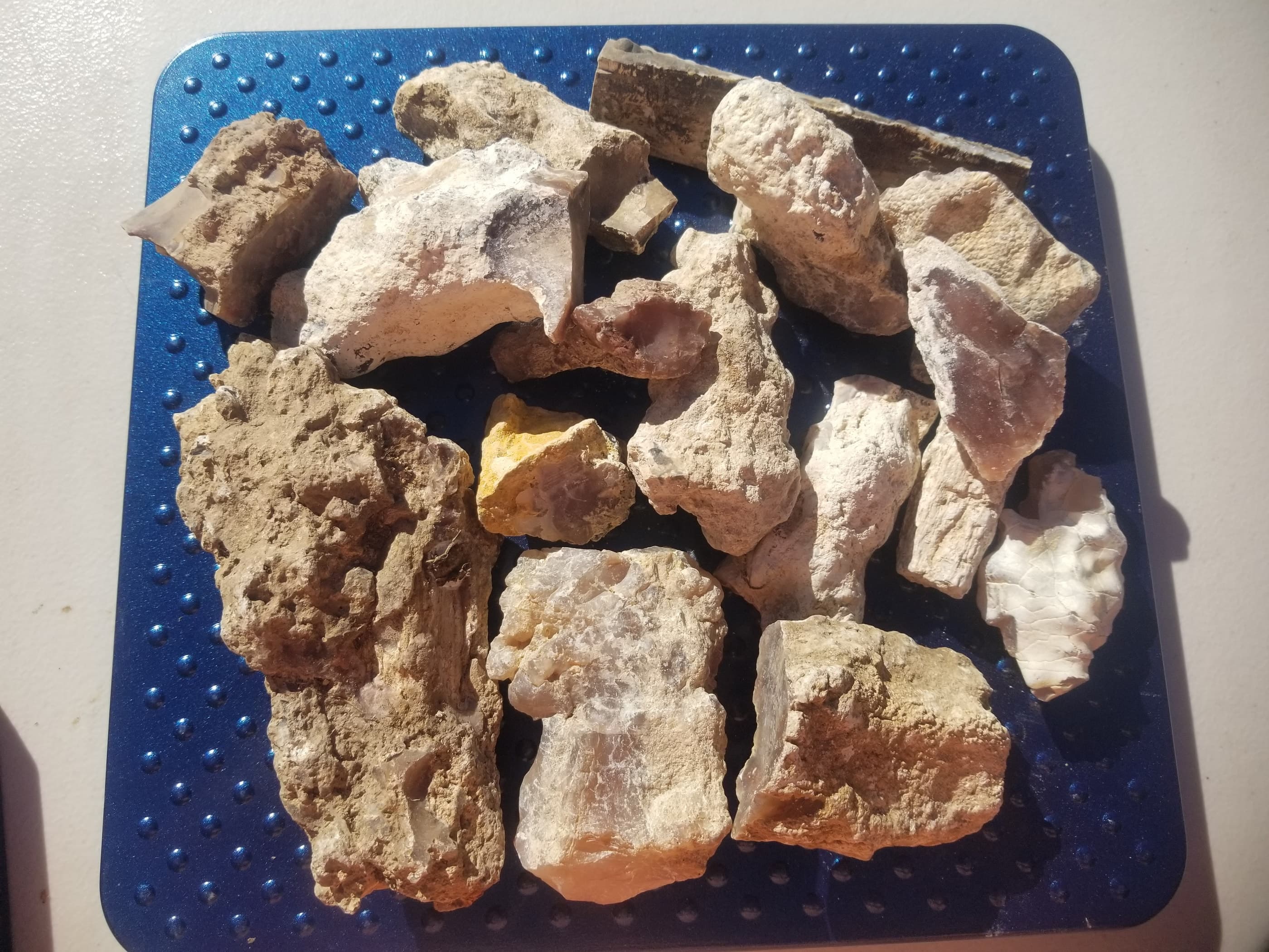 *Wholesale Petrified Wood & Limb Cast Mixed 5Lb Lot - Rough/Natural