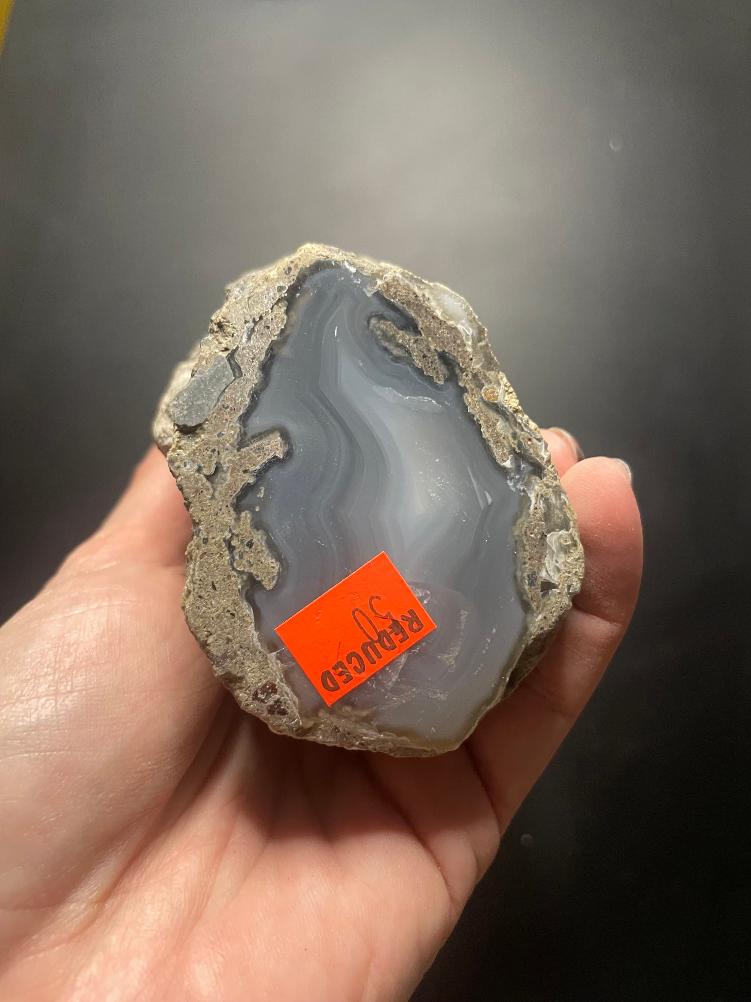 Awesome Rare Double End Polished Petrified Agatized Limb Cast-Wiggins Fork WY