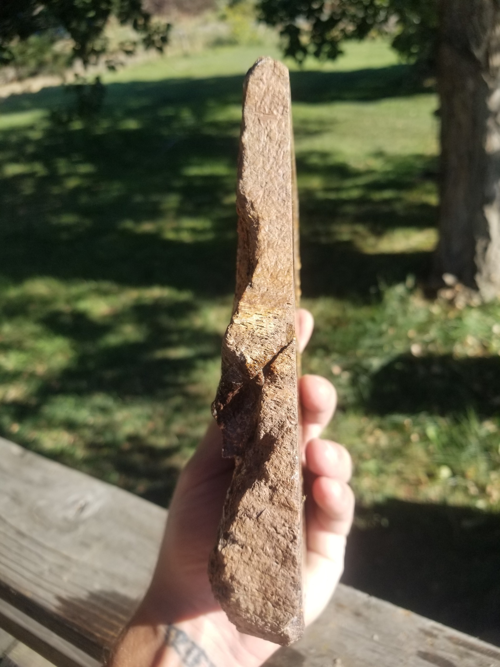 Great Agatized Dinosaur Gem Bone Multicolor Natural Specimen Rough/Unpolished 6Lb