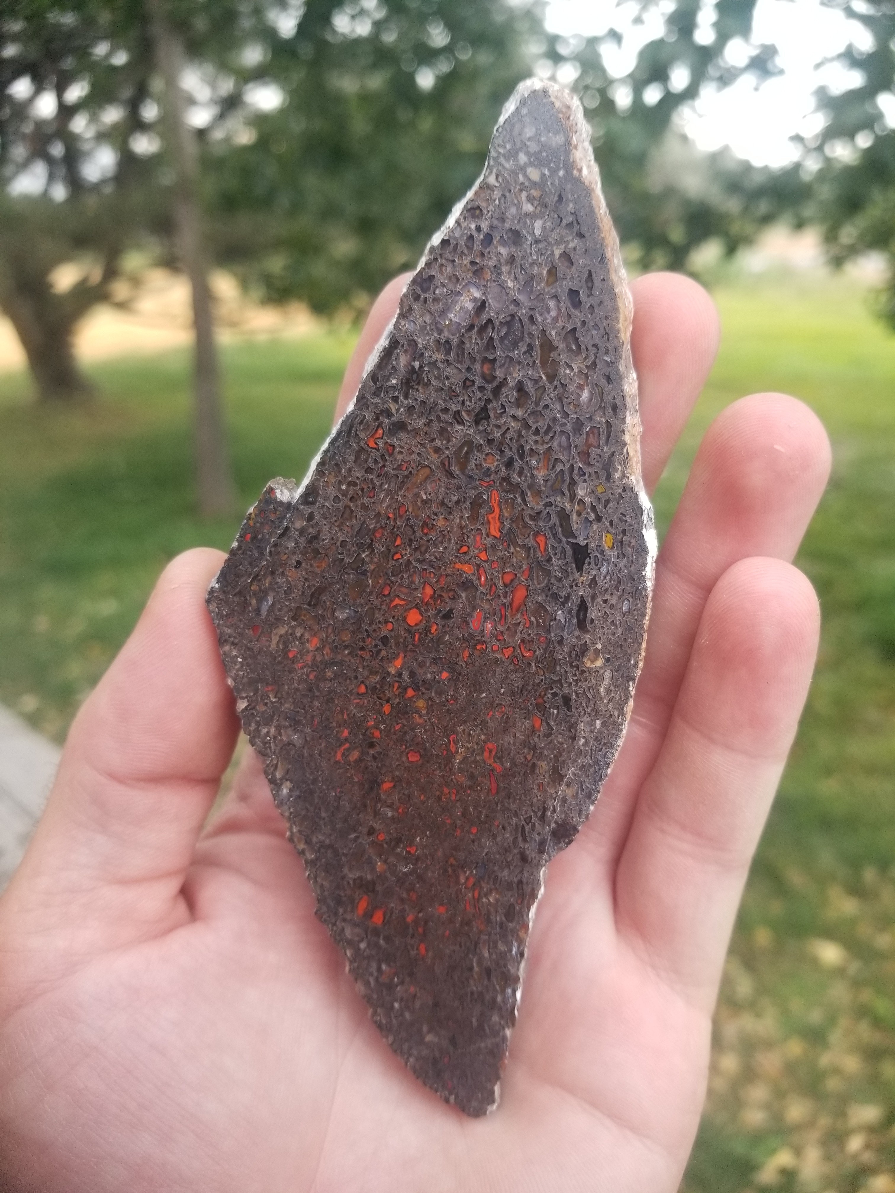 Great Polished Red Cell Agatized Jurassic Dinosaur Gem Bone Slab Specimem Dark Webbing 91g