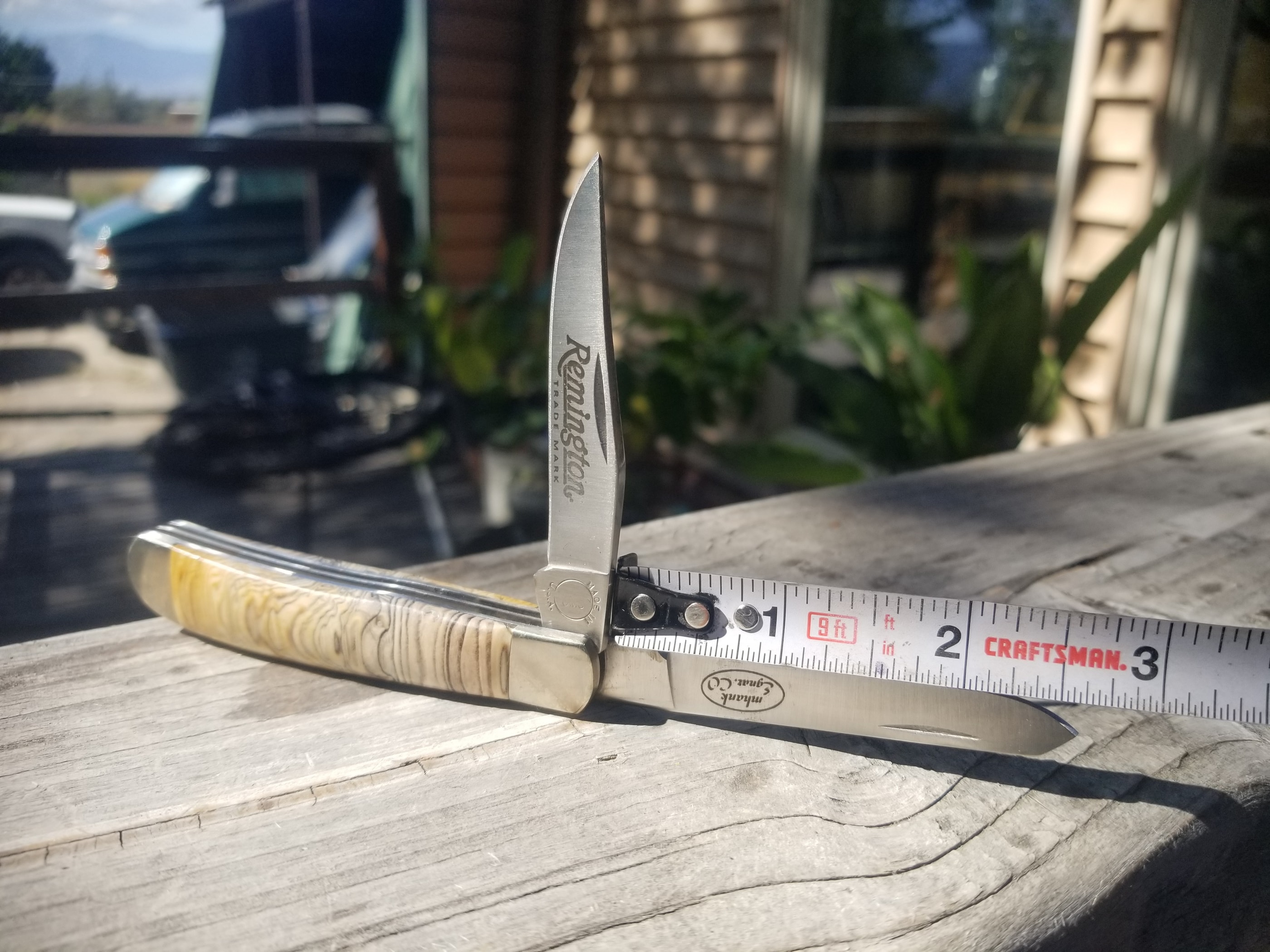 Hell's Canyon Petrified Wood Handle Folding Utility Pocket Knife - 3.5” Handle