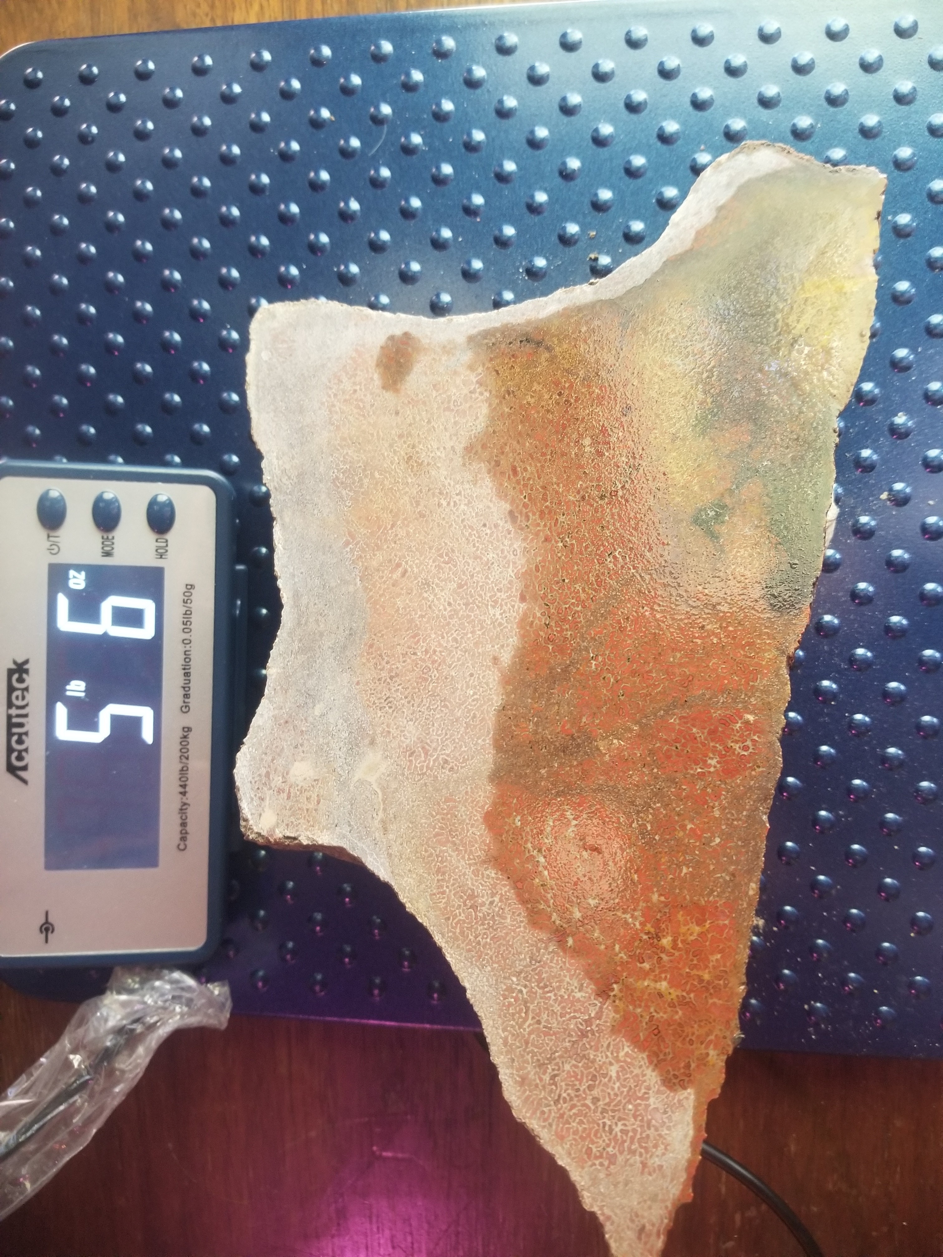 Beautiful Agatized Dinosaur Gem Bone Deep Red Multicolor Natural Specimen Rough/Unpolished 5+Lb