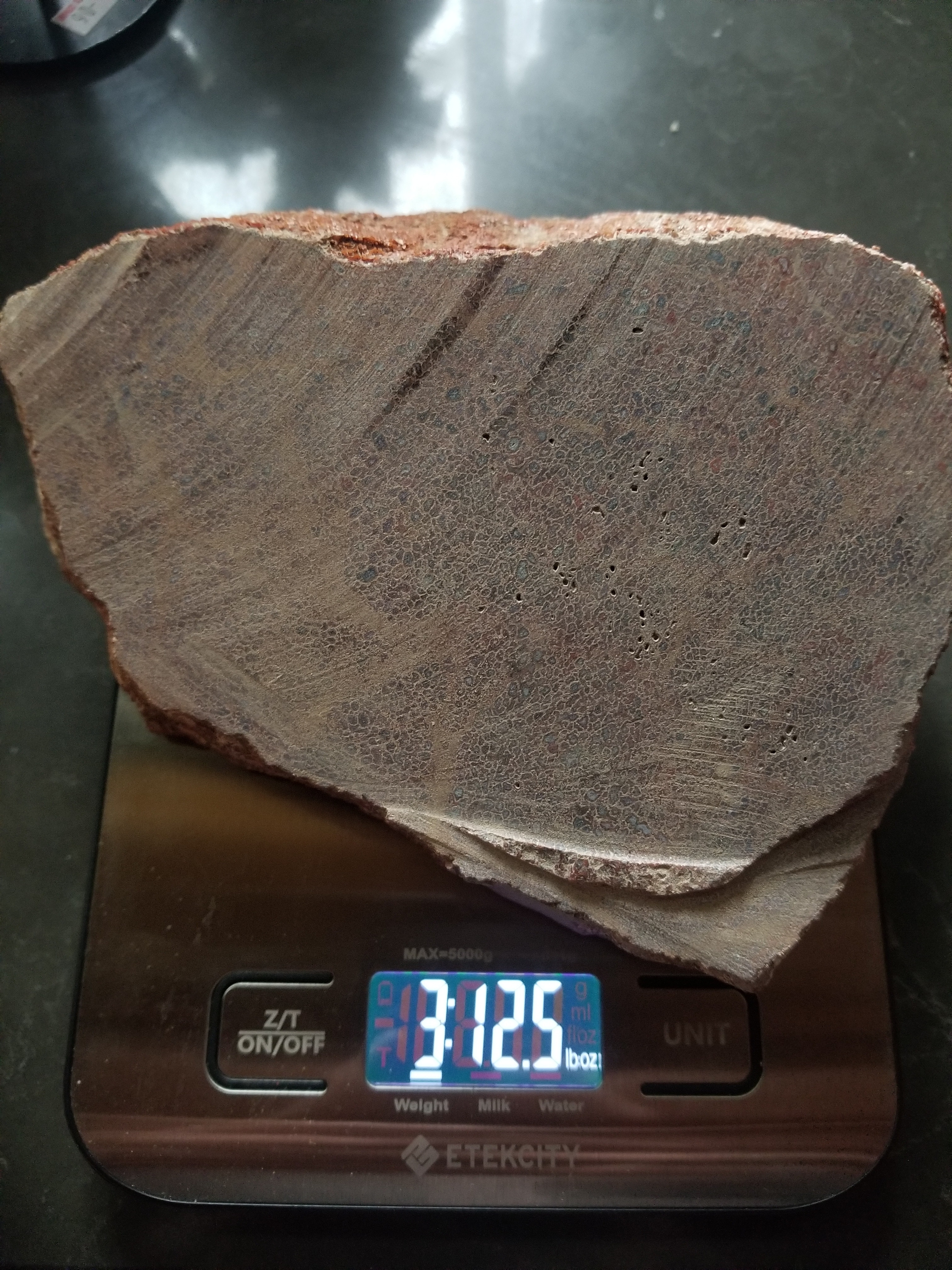 Beautiful Agatized Dinosaur Gem Bone Multicolor Natural Specimen Rough/Unpolished 1717g 3.8Lb