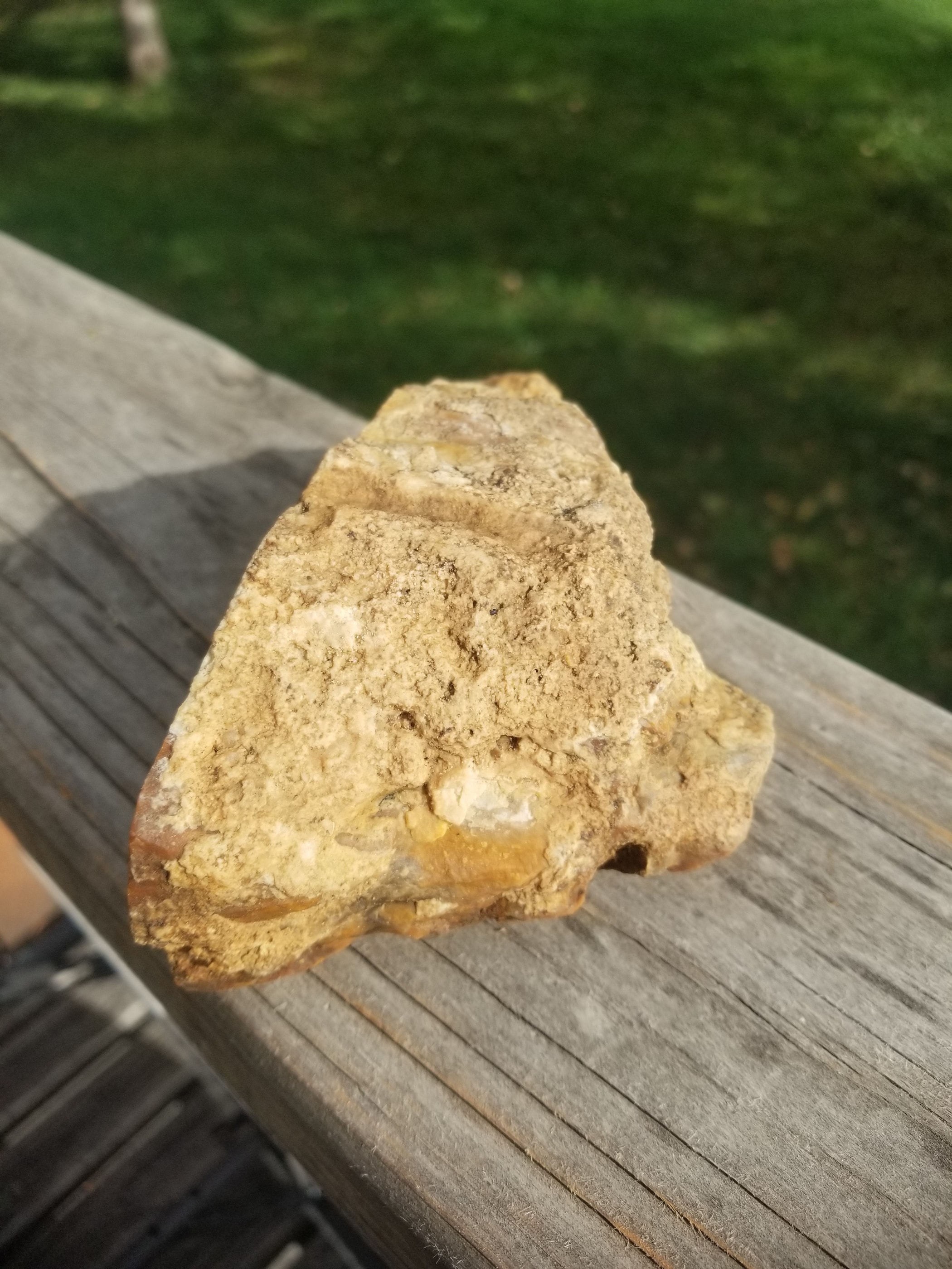 Beautiful Polished Petrified Wood Round Specimen Natural Agatized - Unknown Origin Old Collection 2.4Lb