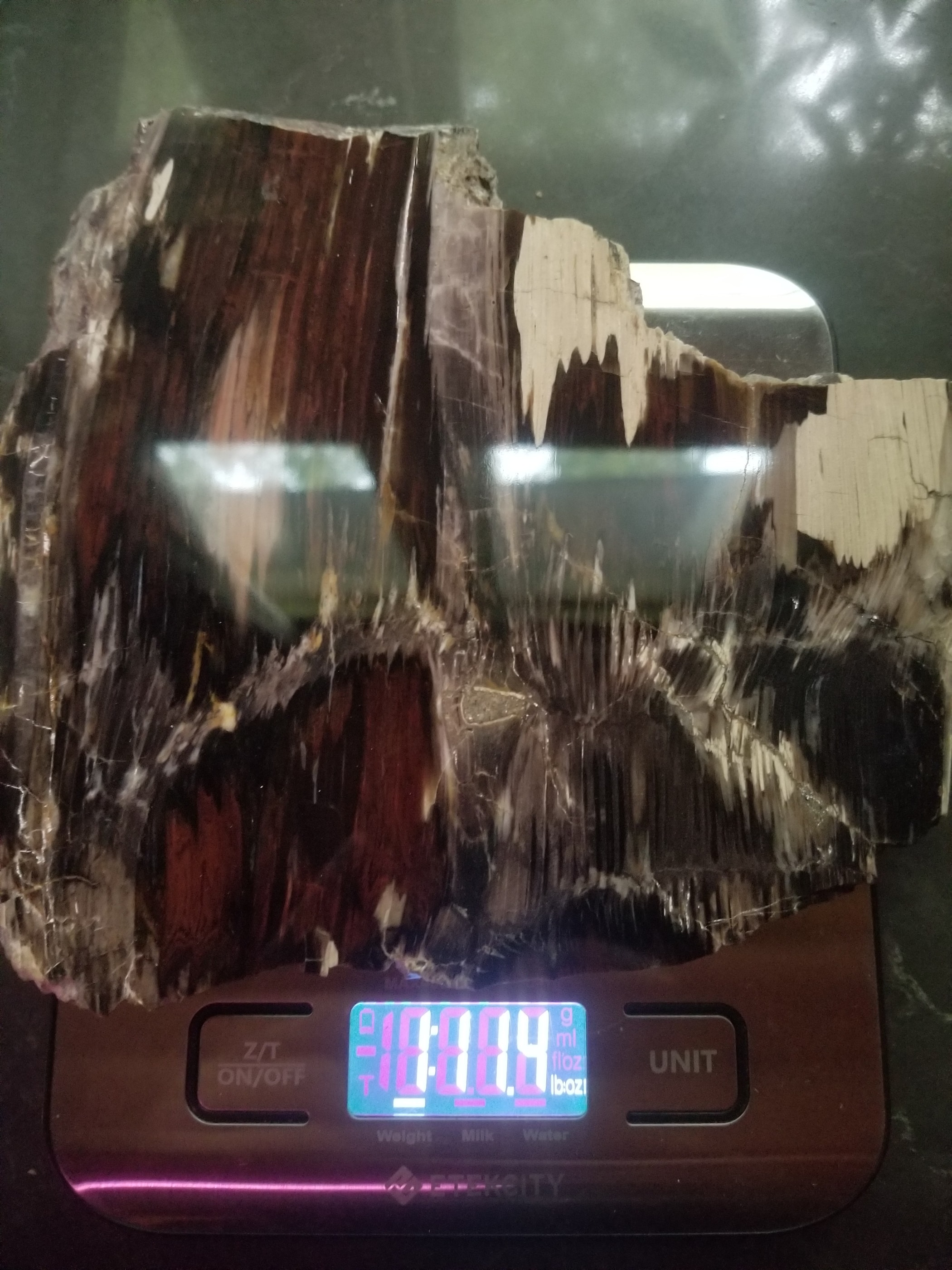 Beautiful Polished Petrified Wood Round Thick Slab Specimen - Unknown Origin Old Collection 3x3.5"