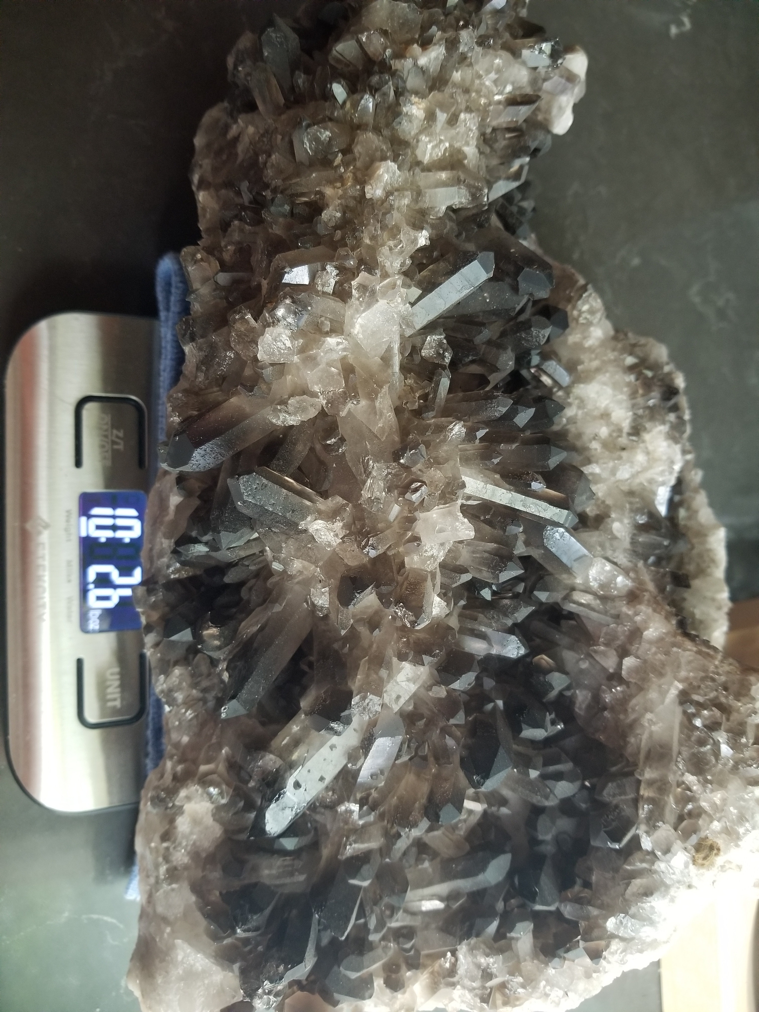Beautiful XL 11" Natural Smokey Quartz Crystal Cluster Formation Statement Piece 10+Lb Display Showcase