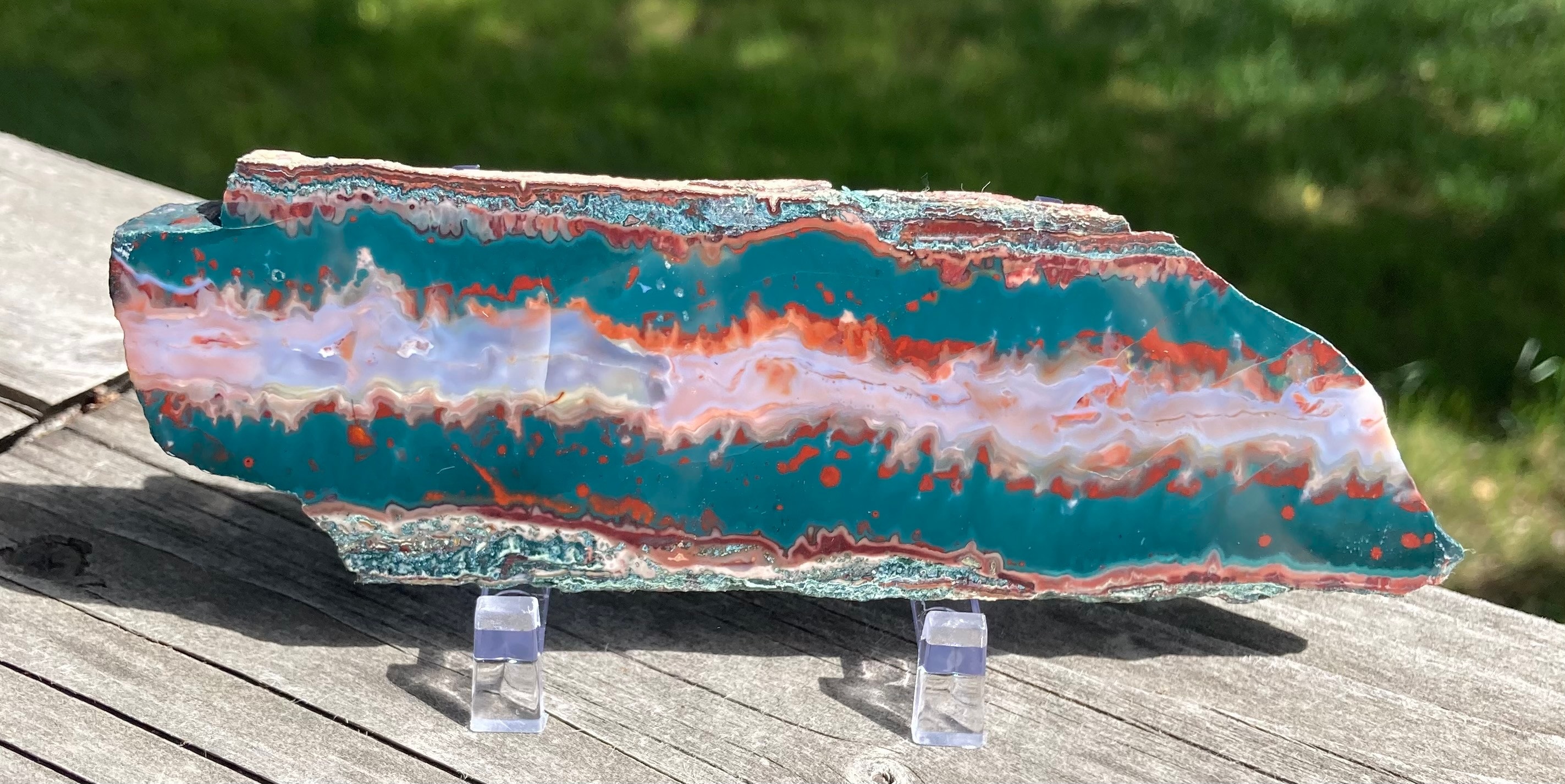 Incredible Large Idaho Sunset Lone Juniper Jasper Agate Polished Slab Specimen