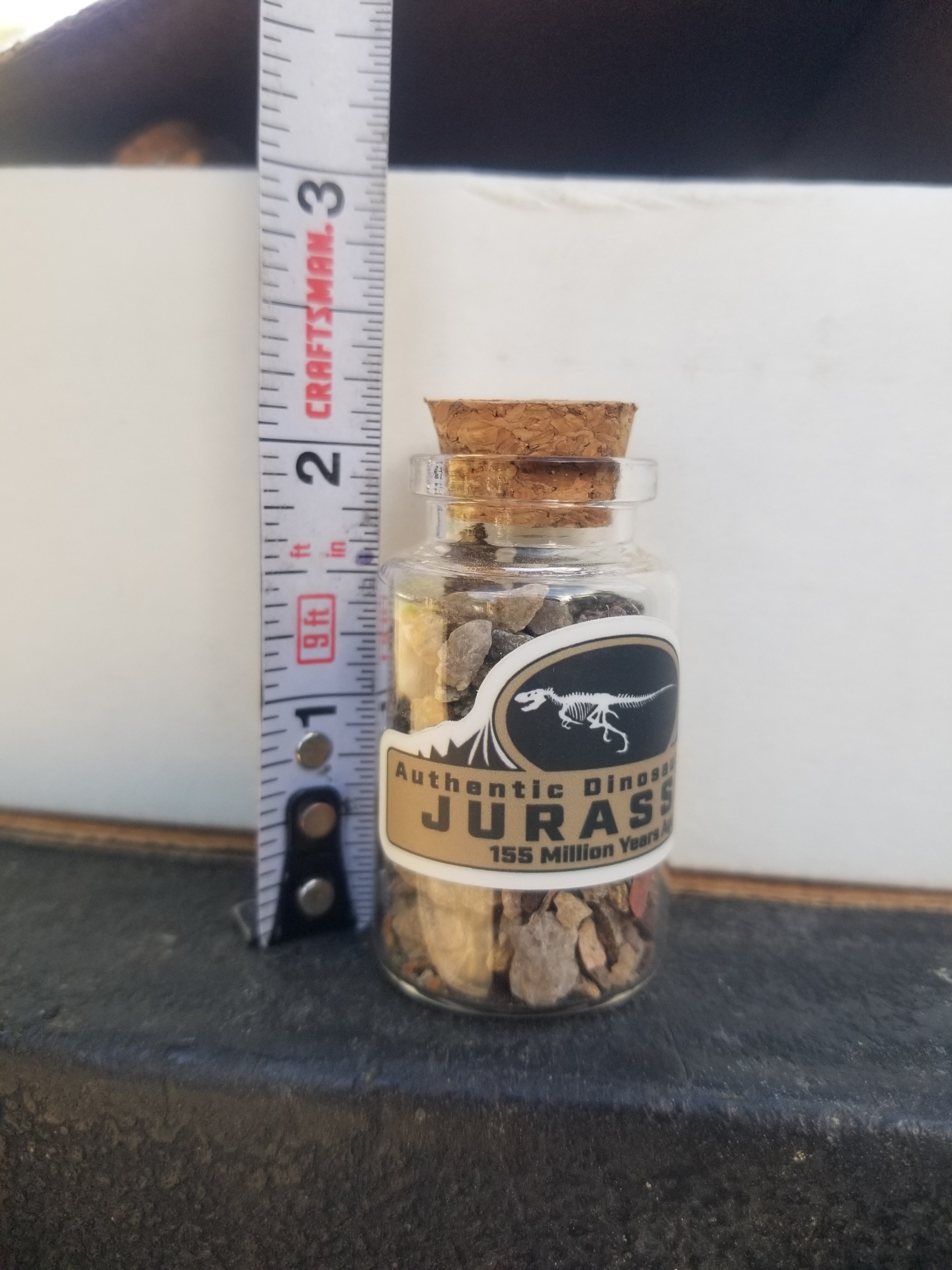 Educational and Collectible Dinosaur Bone Fragment Vials Jurassic Era Morrison Formation 2"