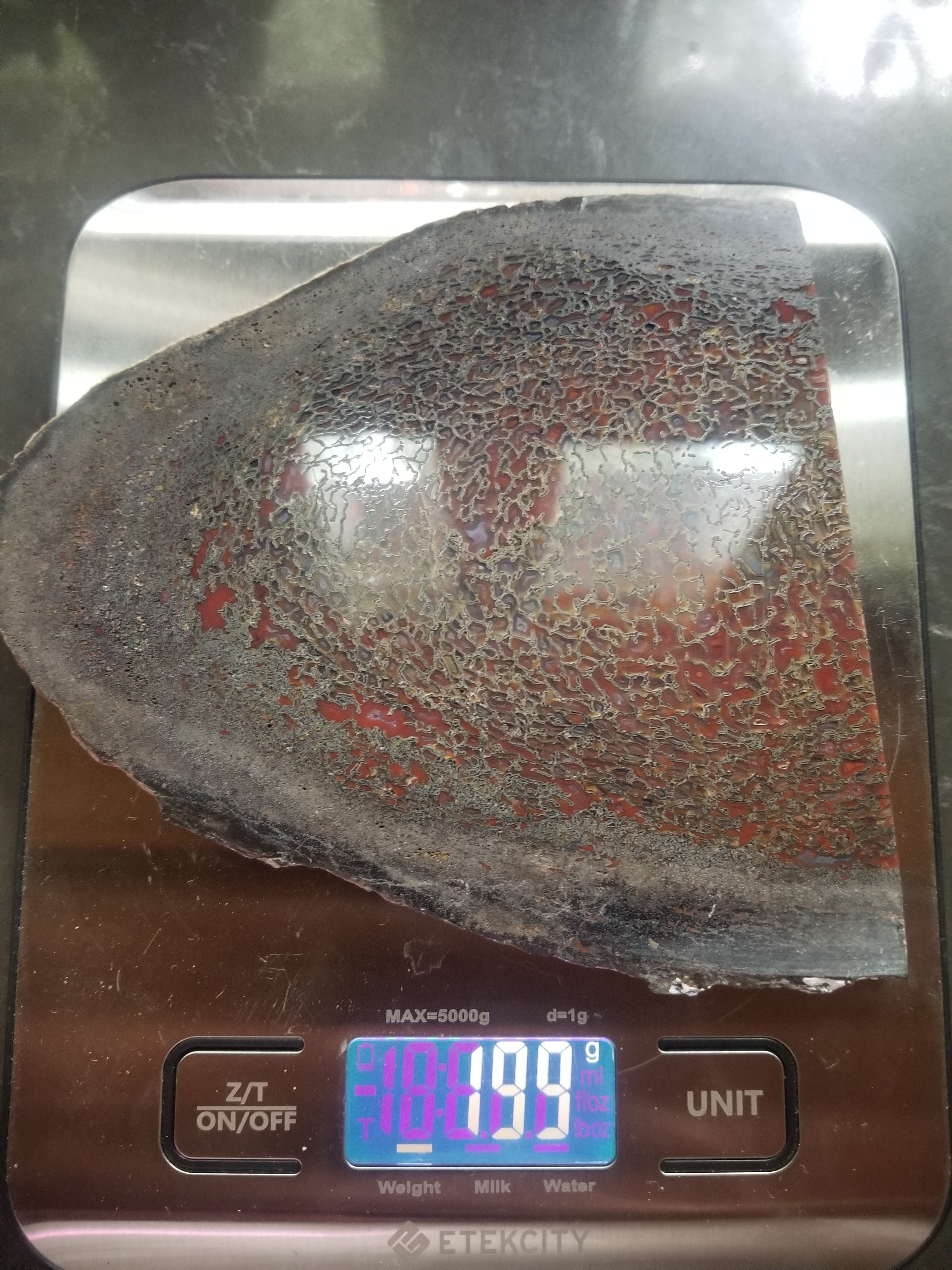 Beautiful Deep Red Cell Multicolor Agatized Jurassic Dinosaur Gem Bone Slab Specimem Dark Webbing 199g