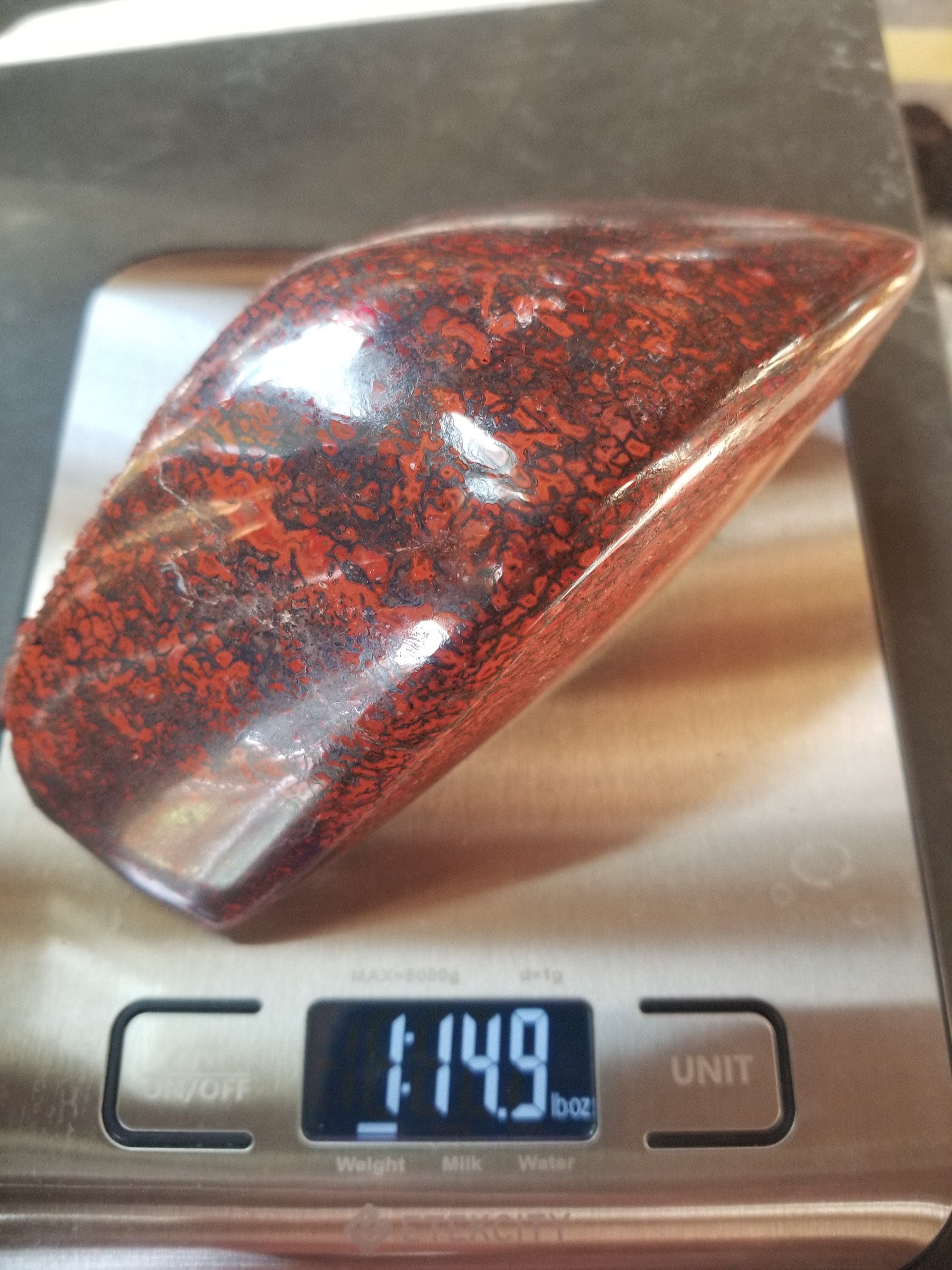 Amazing Unique Freeform Polished Intricate Deep Red Cell Agatized Jurassic Dinosaur Gem Bone Dark Webbing Pastels 2Lb
