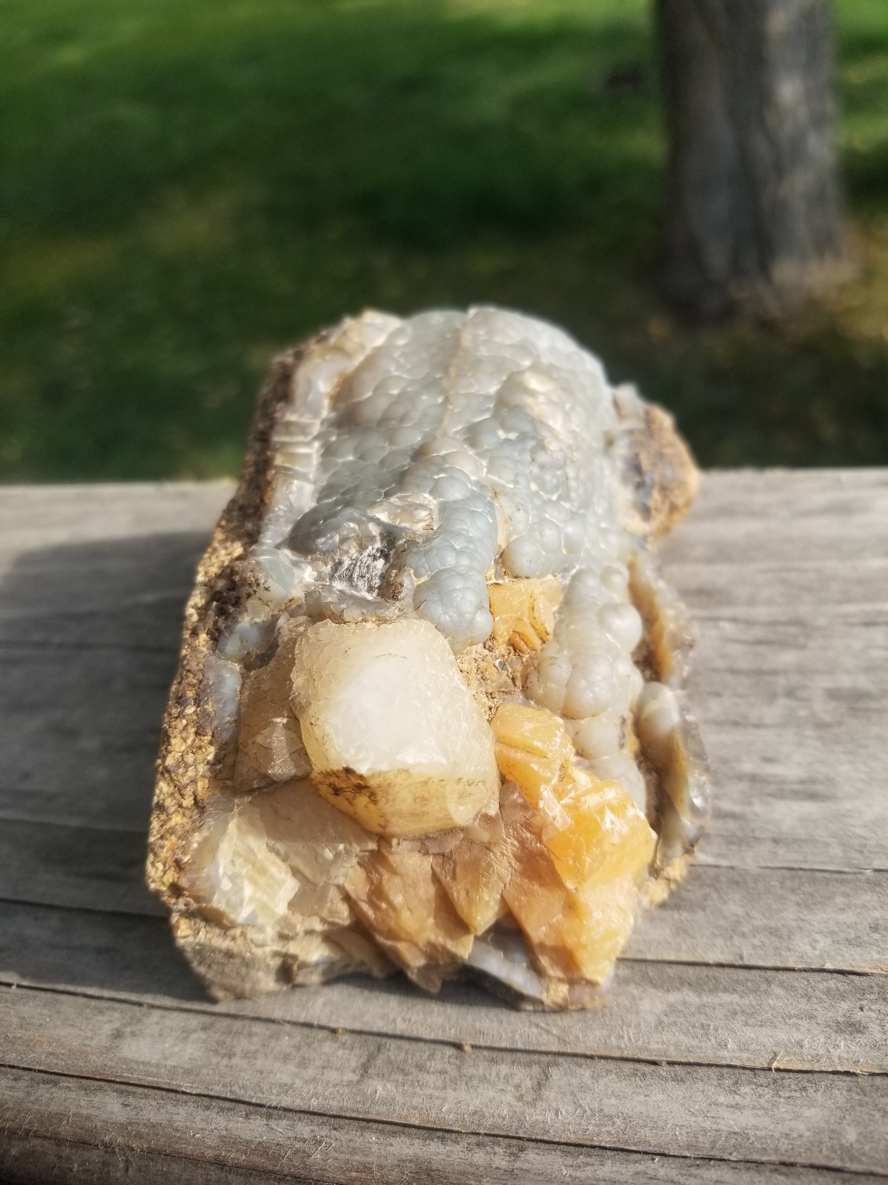 Incredible Polished Blue Forest Petrified Wood Limb Botryoidals Golden Calcite - Wyoming Agatized Wood Eden Valley