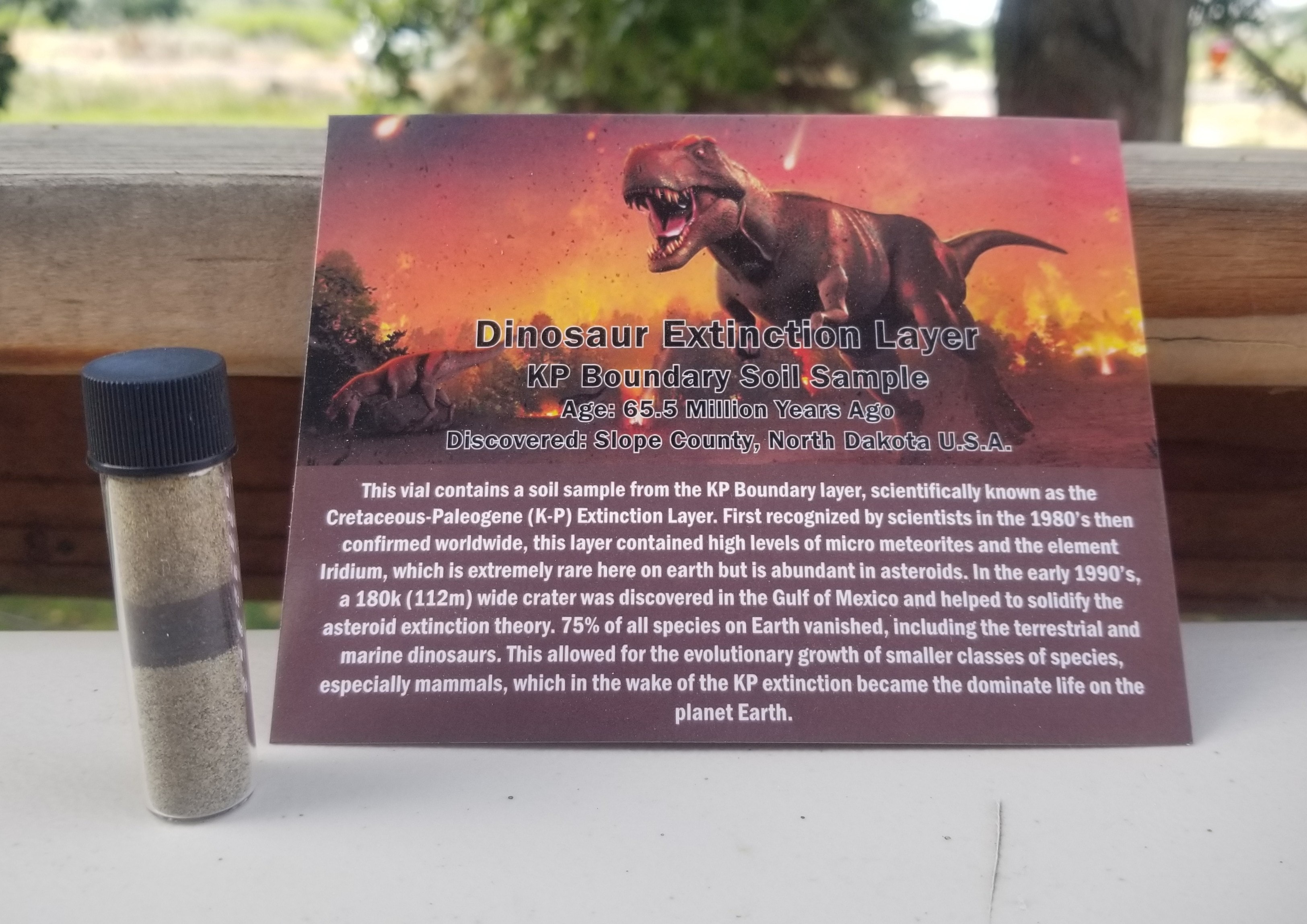KP Boundary Soil Sample Vial - Dinosaur Extinction Layer 65 Million Years Ago
