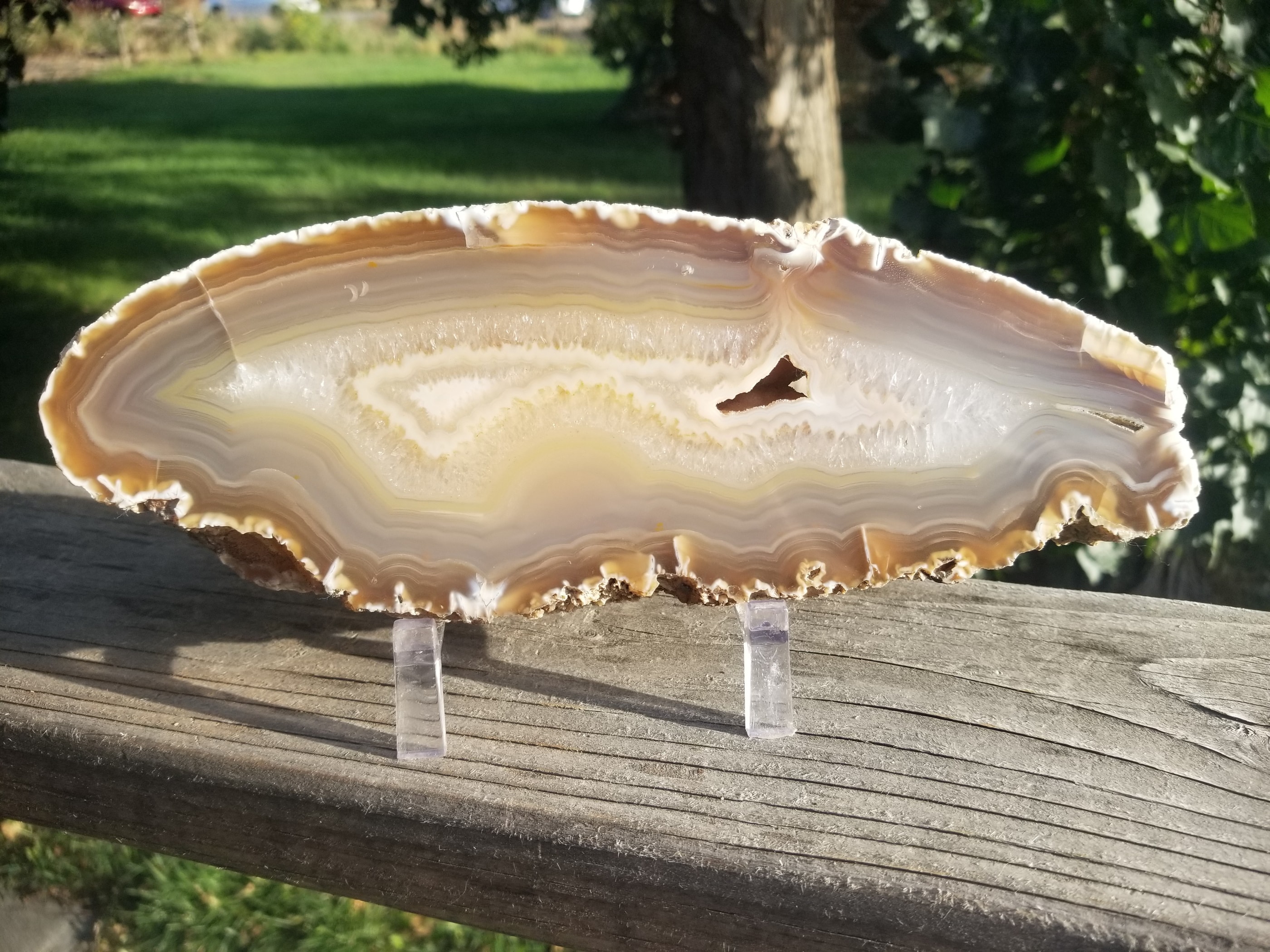 Nice Brazil Agate Slab Cut Polished Round Natural Beautiful Translucent Unique Decor