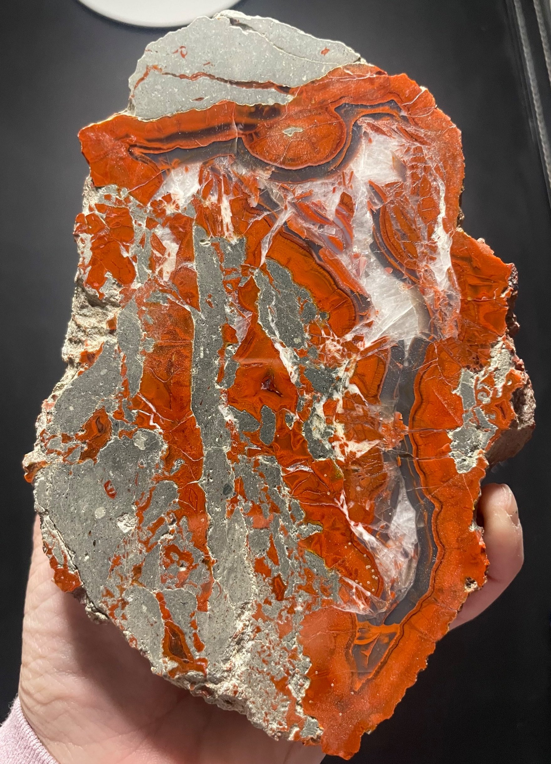 Highly Coveted Polished Yellow Cat Red Wood - Petrified Agatized Wood Specimen 1.6Lb, UT