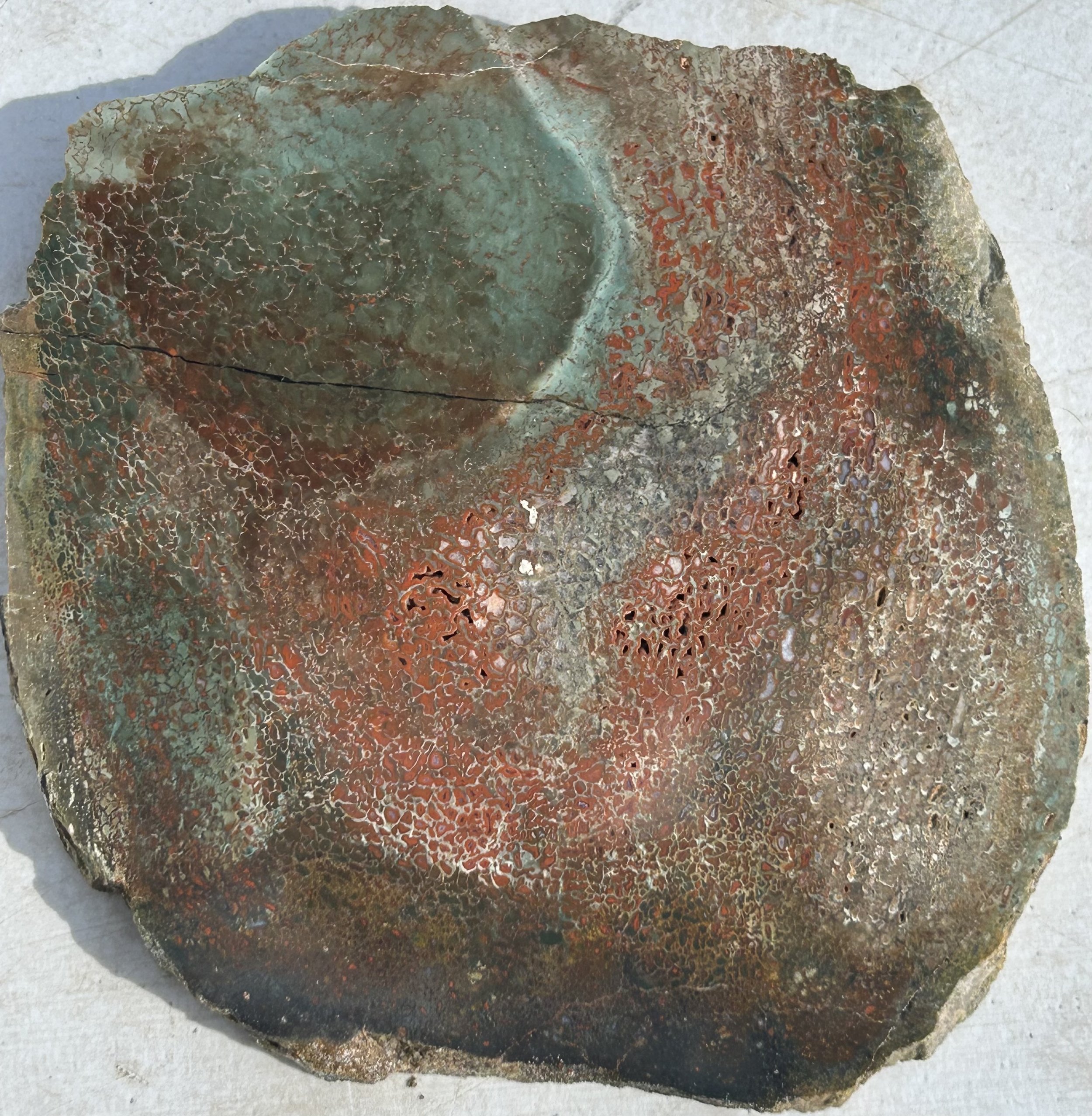 Interesting Unique Polished Jurassic Dinosaur Gem Bone Slab Agatized Dino Bone