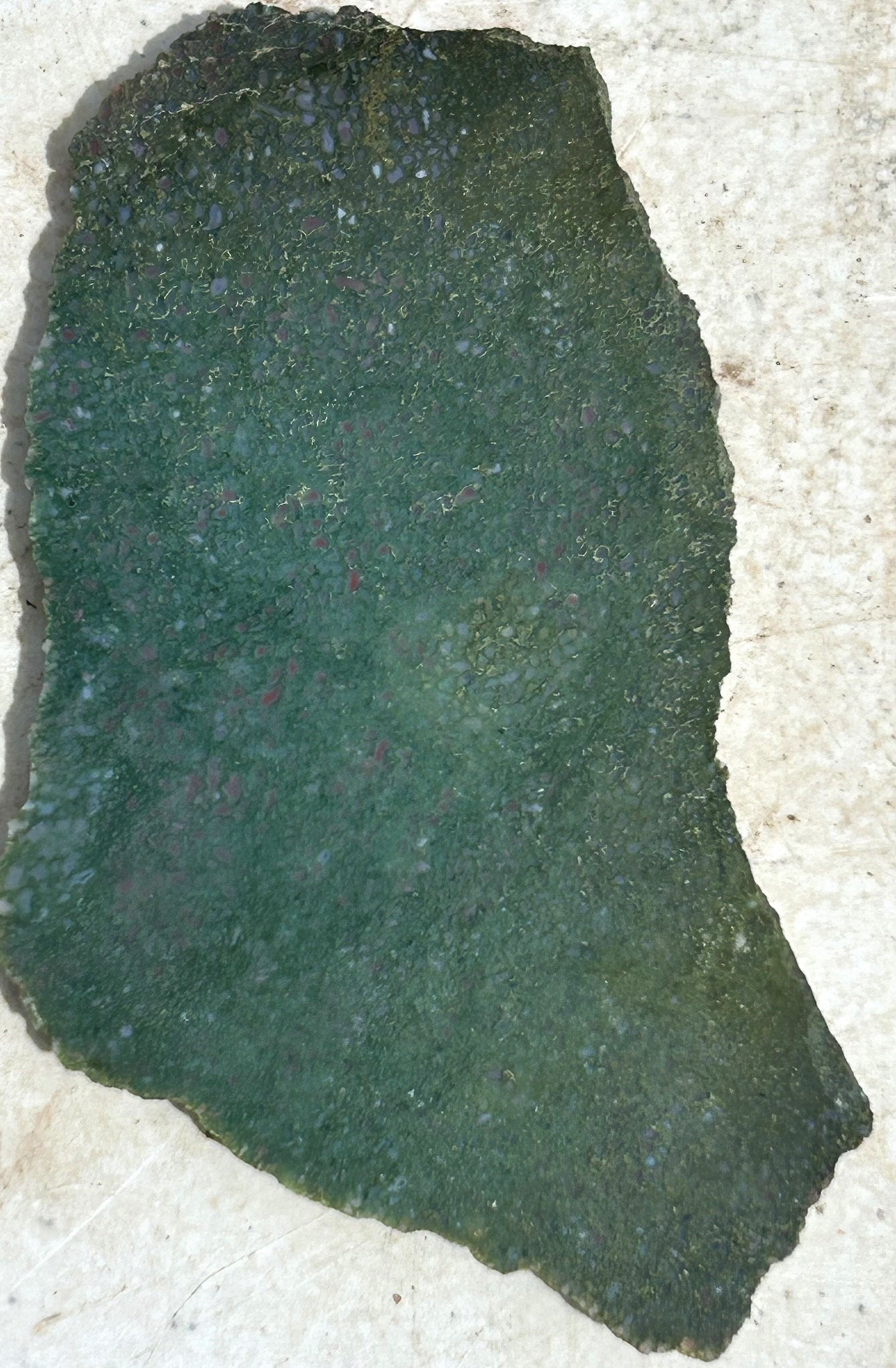 Green Dinosaur Gem Bone - Polished Dino Bone Slab