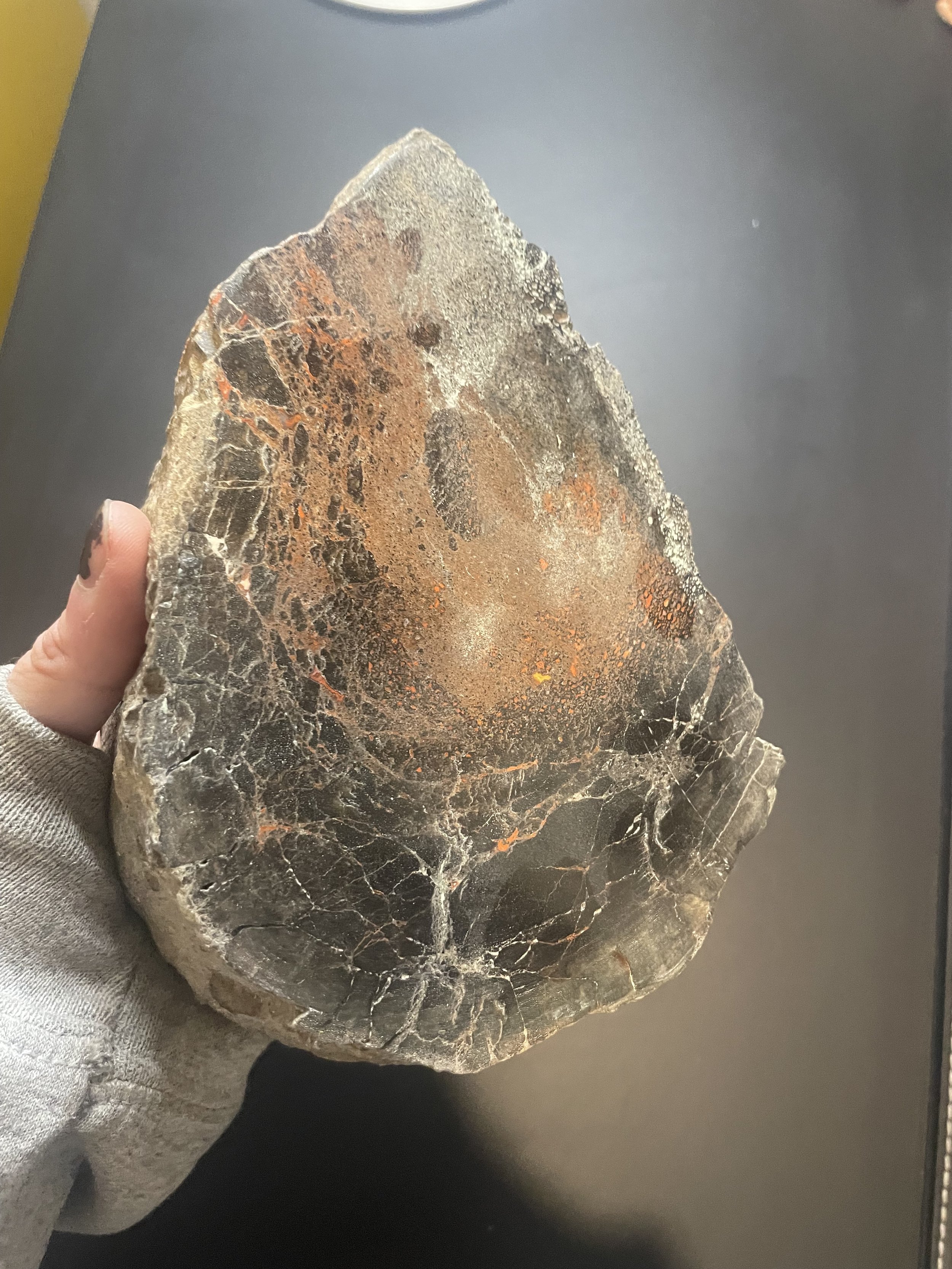 Nice Polished Dinosaur Gem Bone Specimen 3.7Lb - Jurrasic Agatized Dinosaur Bone