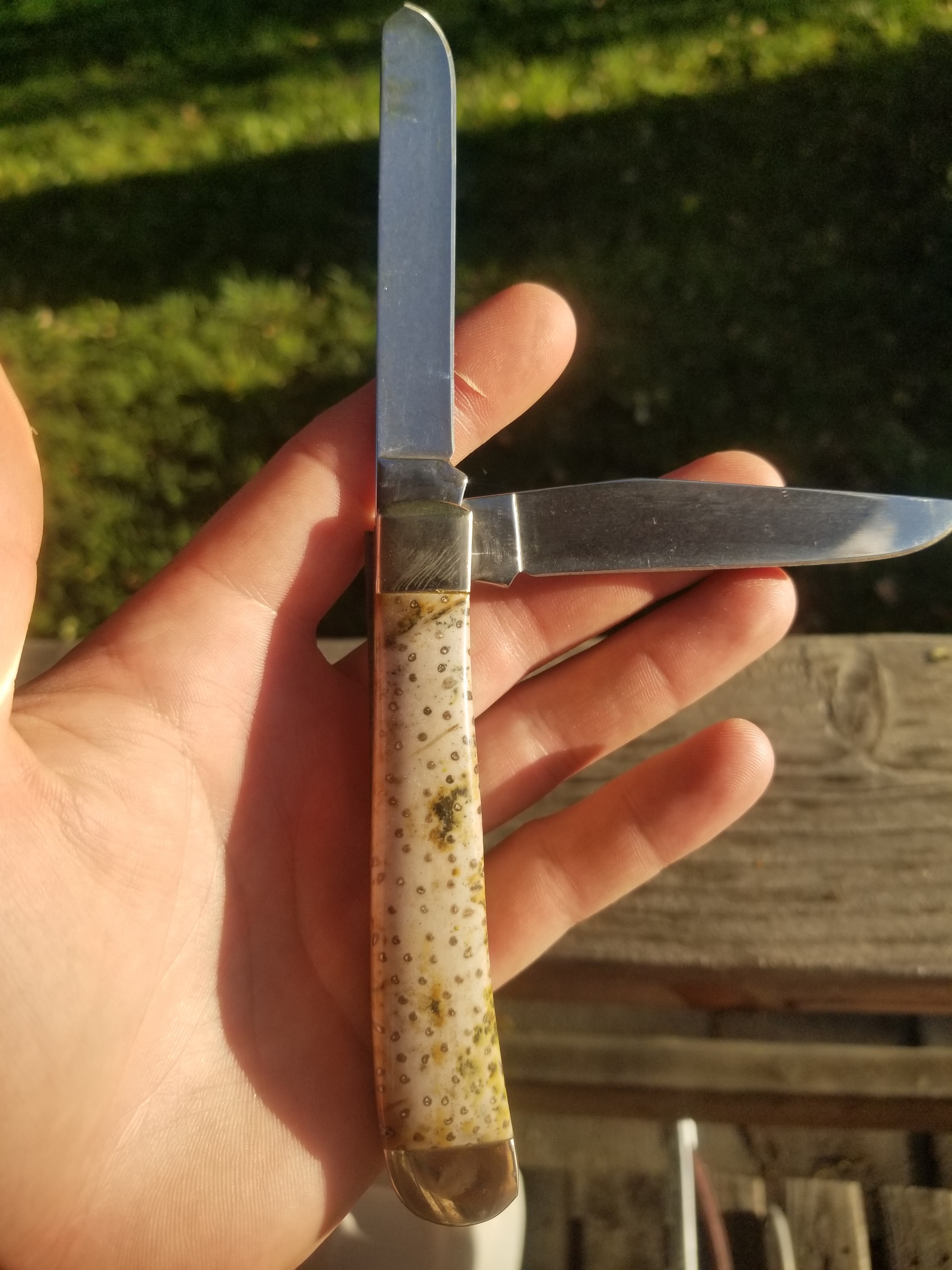 Louisiana Petrified Palm Wood Handle Folding Utility Pocket Knife - 4” Handle