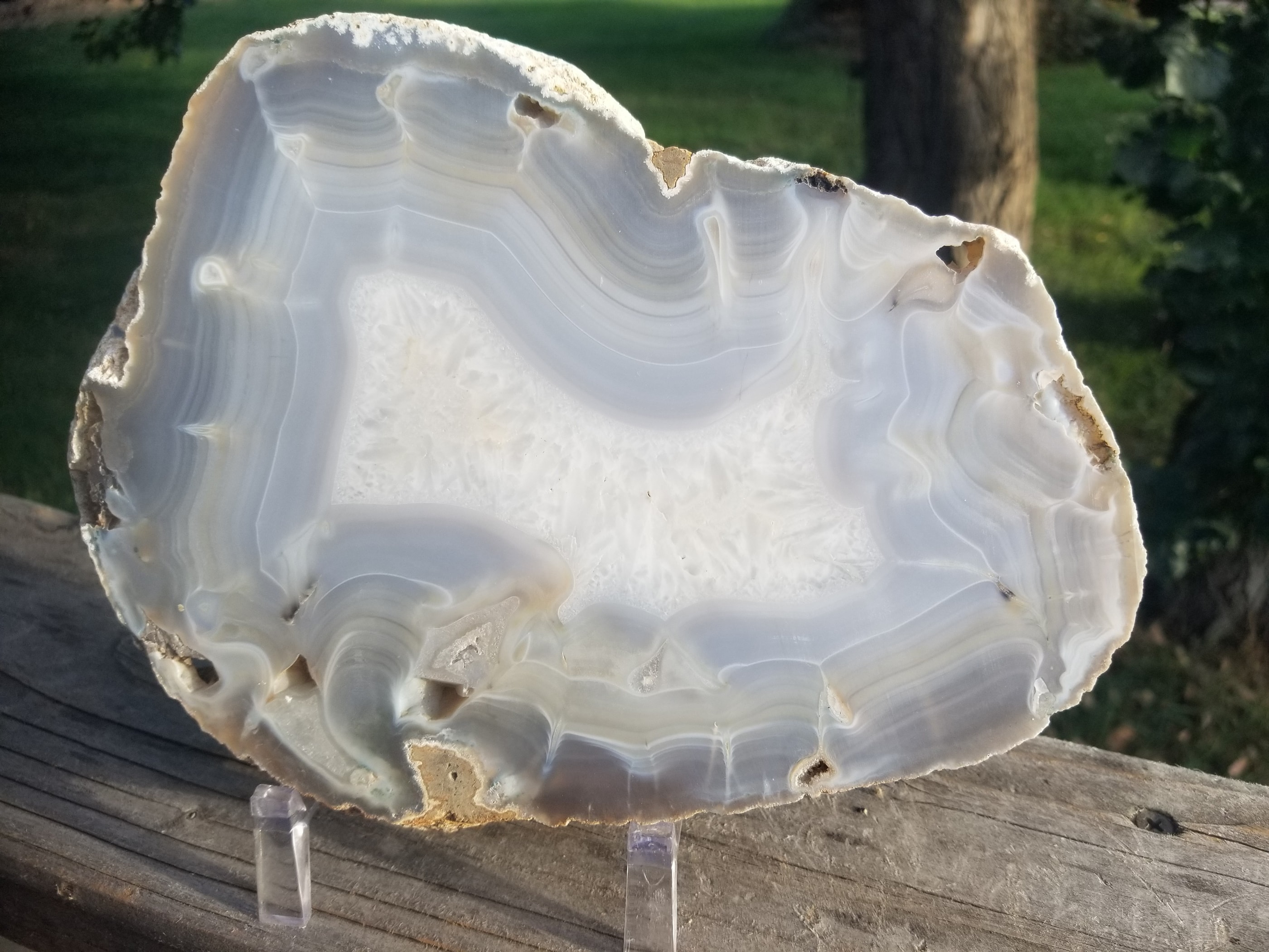 Nice Brazil Agate Slab Cut Polished Round Natural Beautiful Translucent Unique Decor